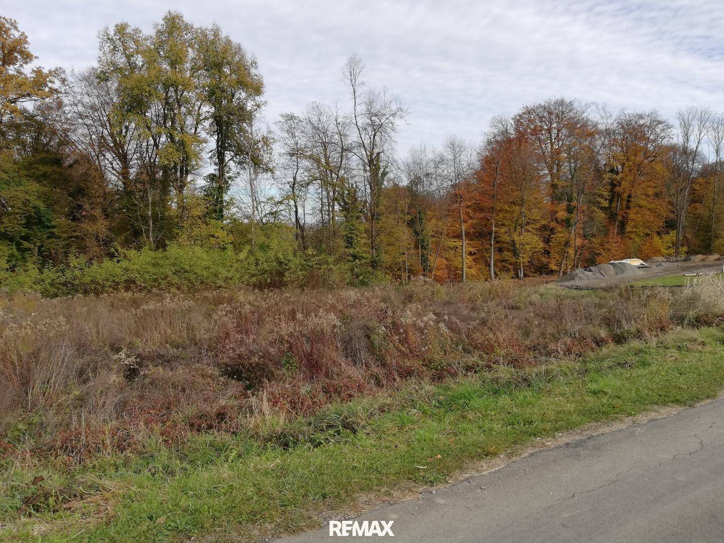 Weitläufiges Grundstück mit hohem Gras und bunten Herbstbäumen am Horizont, angrenzend an eine Straße.