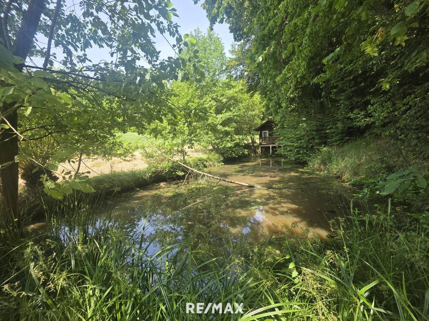 Teich