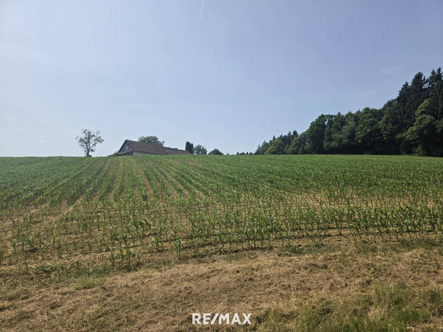 1,75 ha