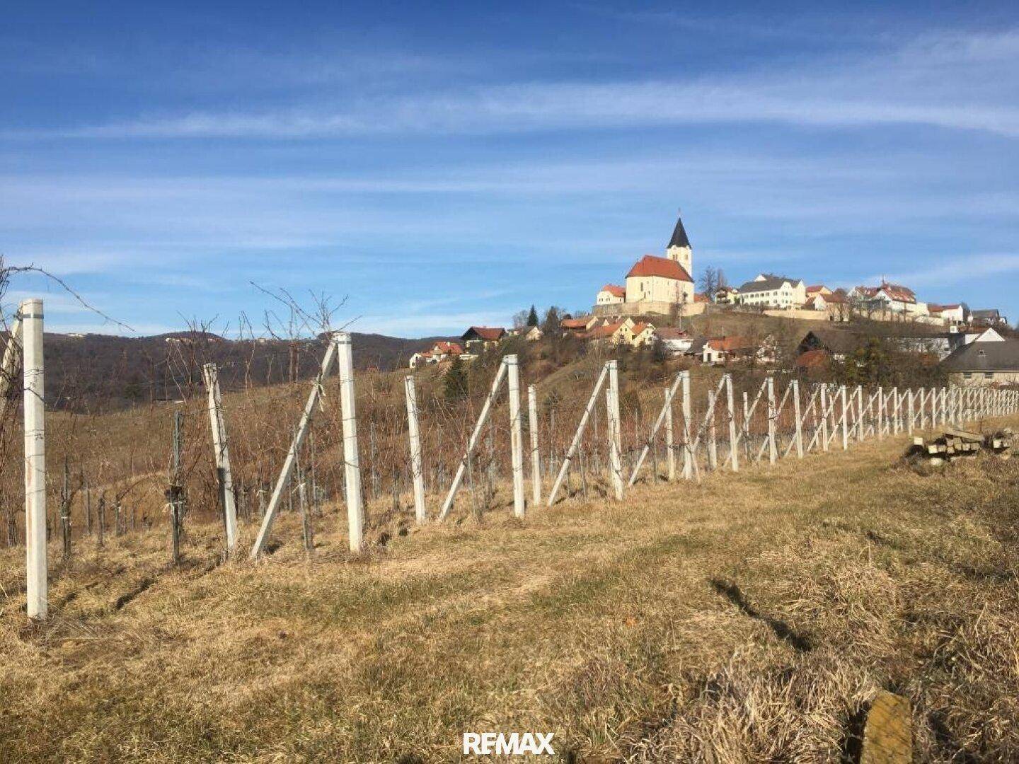 Ländliche Landschaft mit Weinreben im Vordergrund und einem Dorf auf einem Hügel.