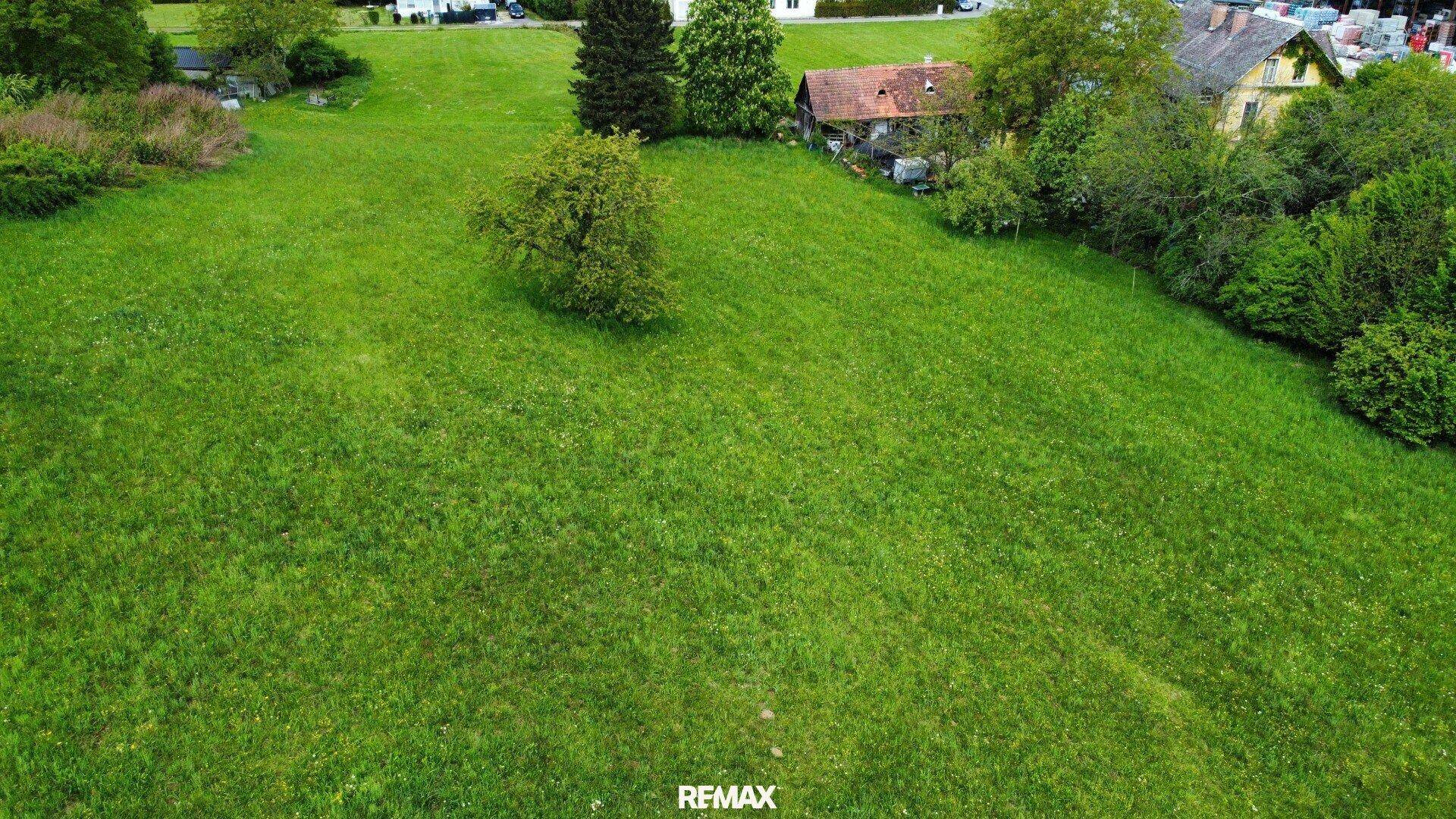 Luftaufnahme eines großen grünen Grundstücks mit einem einzelnen Baum, umgeben von Häusern und Büschen.