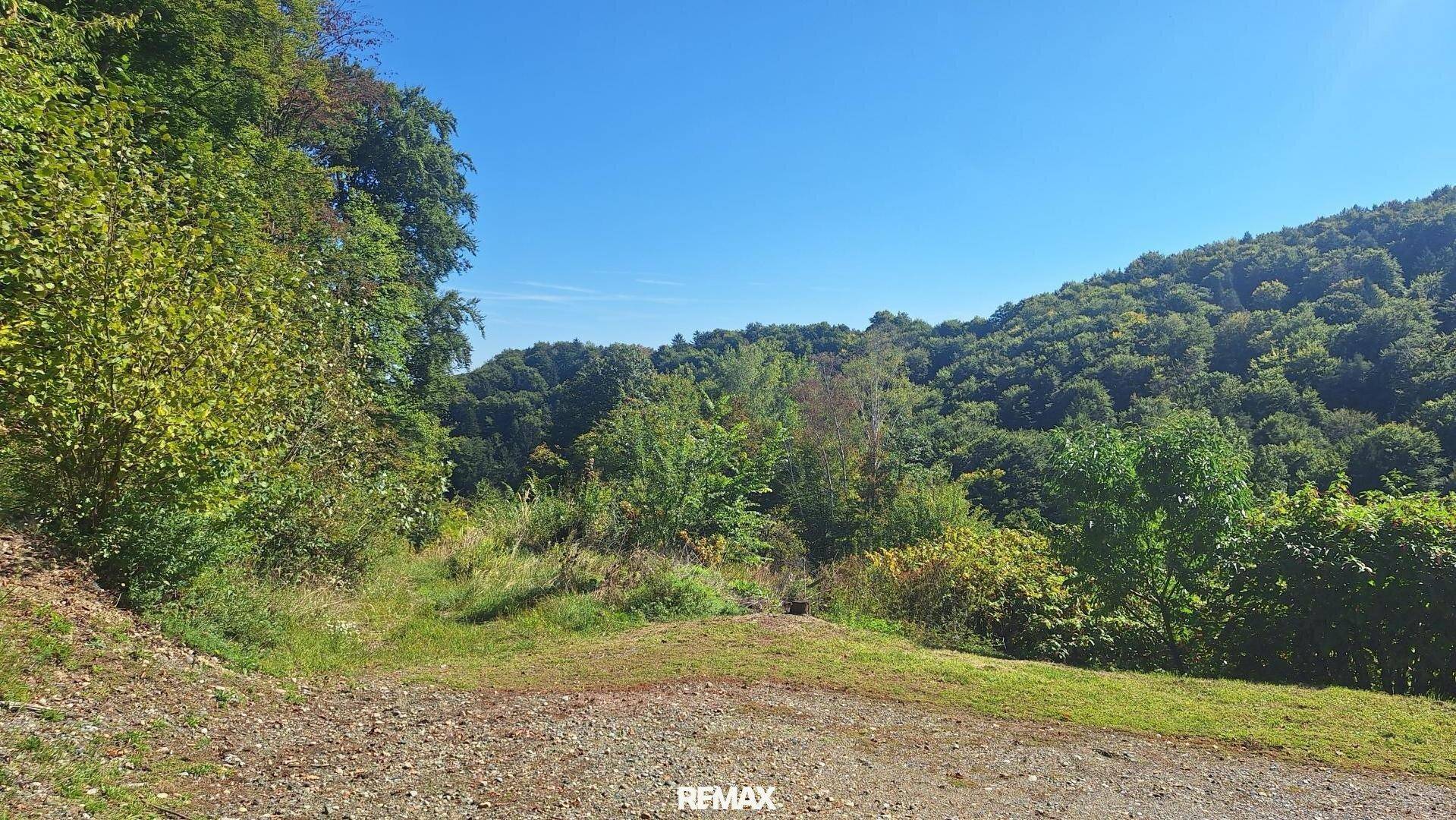 Weitläufige grüne Hügellandschaft mit üppigem Wald unter strahlend blauem Himmel.