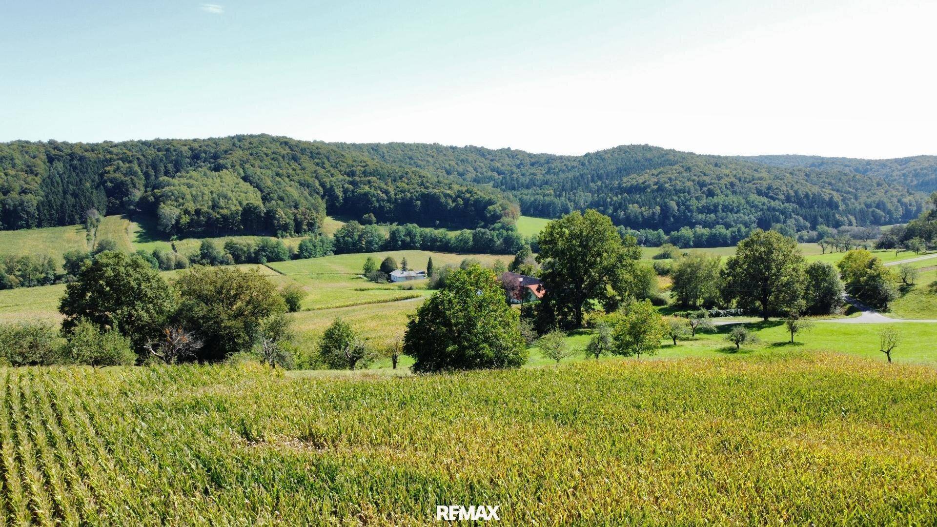 Weitläufige Landschaftsaufnahme mit grünen Hügeln, Wäldern und Feldern unter klarem blauem Himmel.