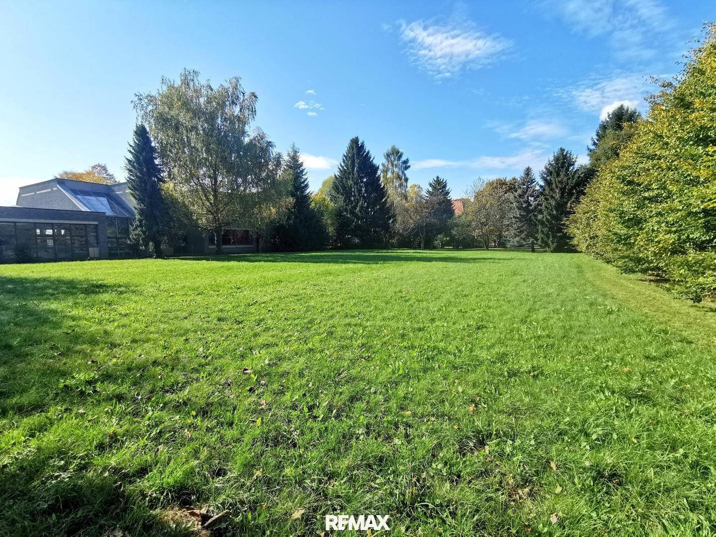 Weitläufiger Garten mit sonniger Rasenfläche und umgebendem Baumbestand.