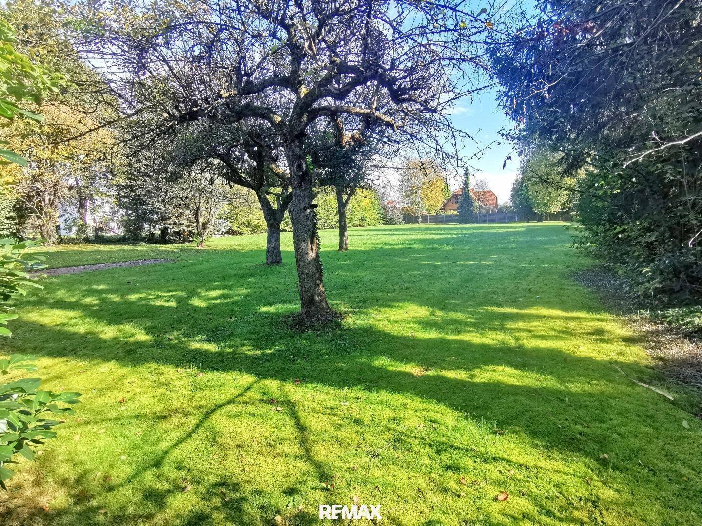Großer Garten mit alten Obstbäumen und weitläufiger Rasenfläche unter blauem Himmel.