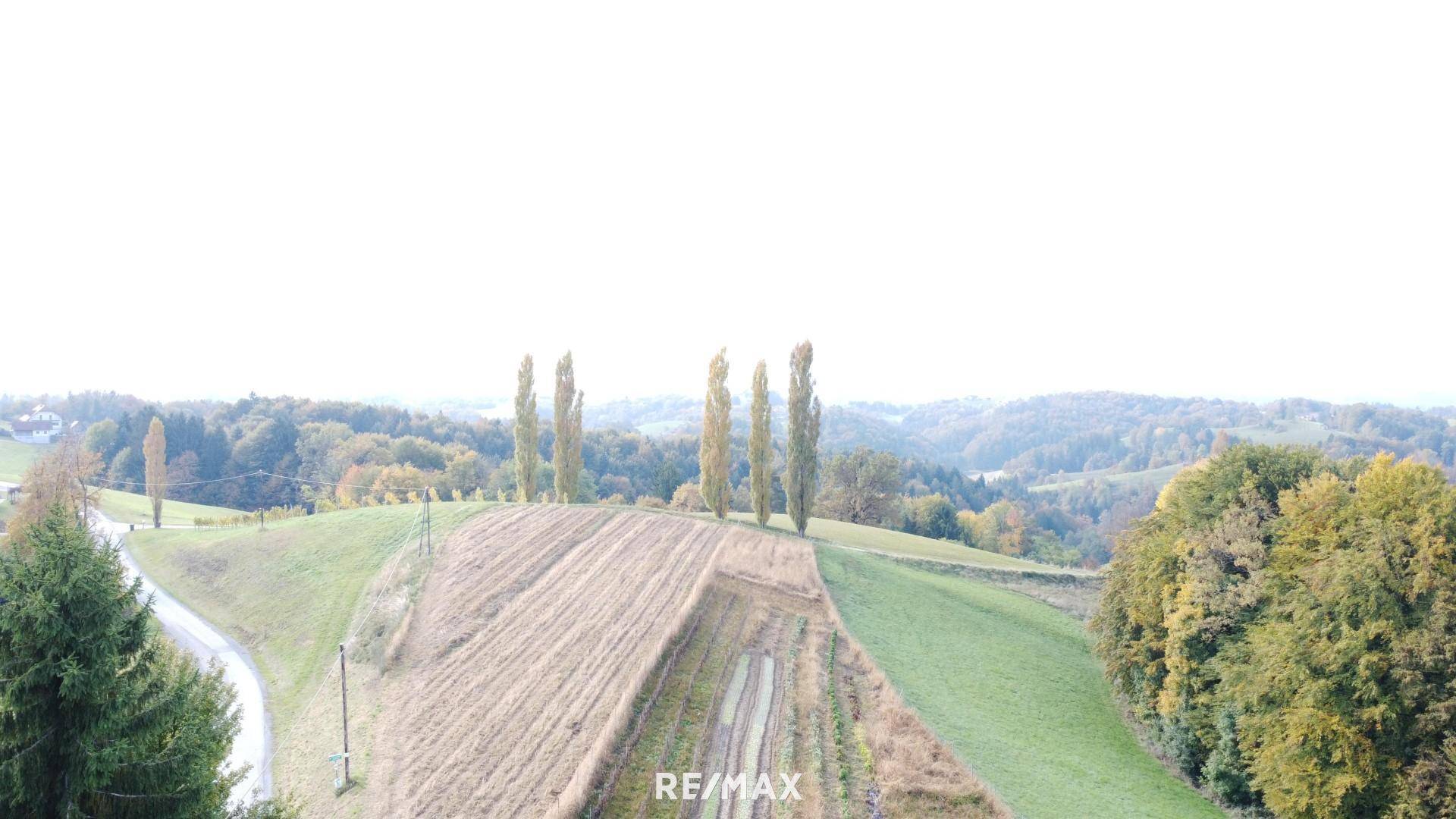 DJI_0062