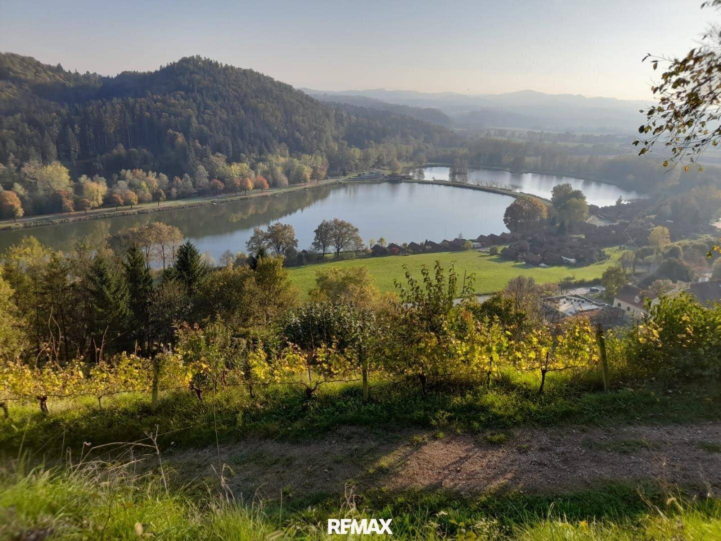 Malerischer Blick auf einen See umgeben von bewaldeten Hügeln und Weinbergen unter blauem Himmel.