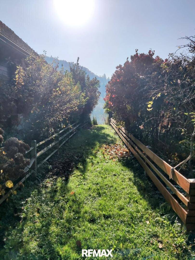 Sonniger Gartenweg zwischen Hecken, der zu einem See oder einer weiteren Grünfläche führt.