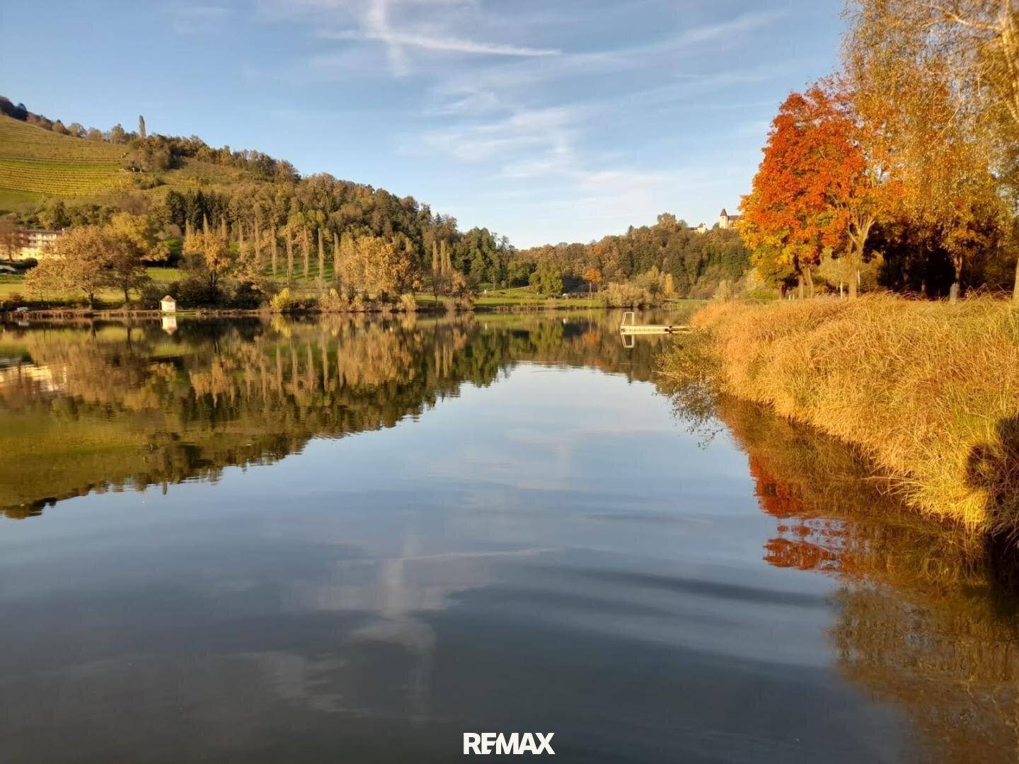 Weitläufiger See mit herbstlicher Ufervegetation und bewaldeten Hügeln im Hintergrund unter blauem Himmel.
