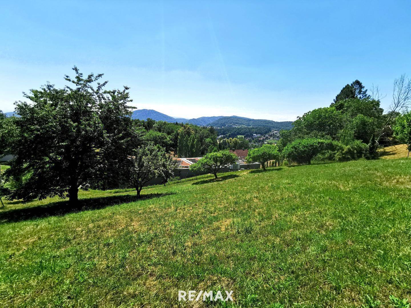 Panoramablick über ein weitläufiges, grünes Grundstück mit Bäumen und einer malerischen Bergkulisse.