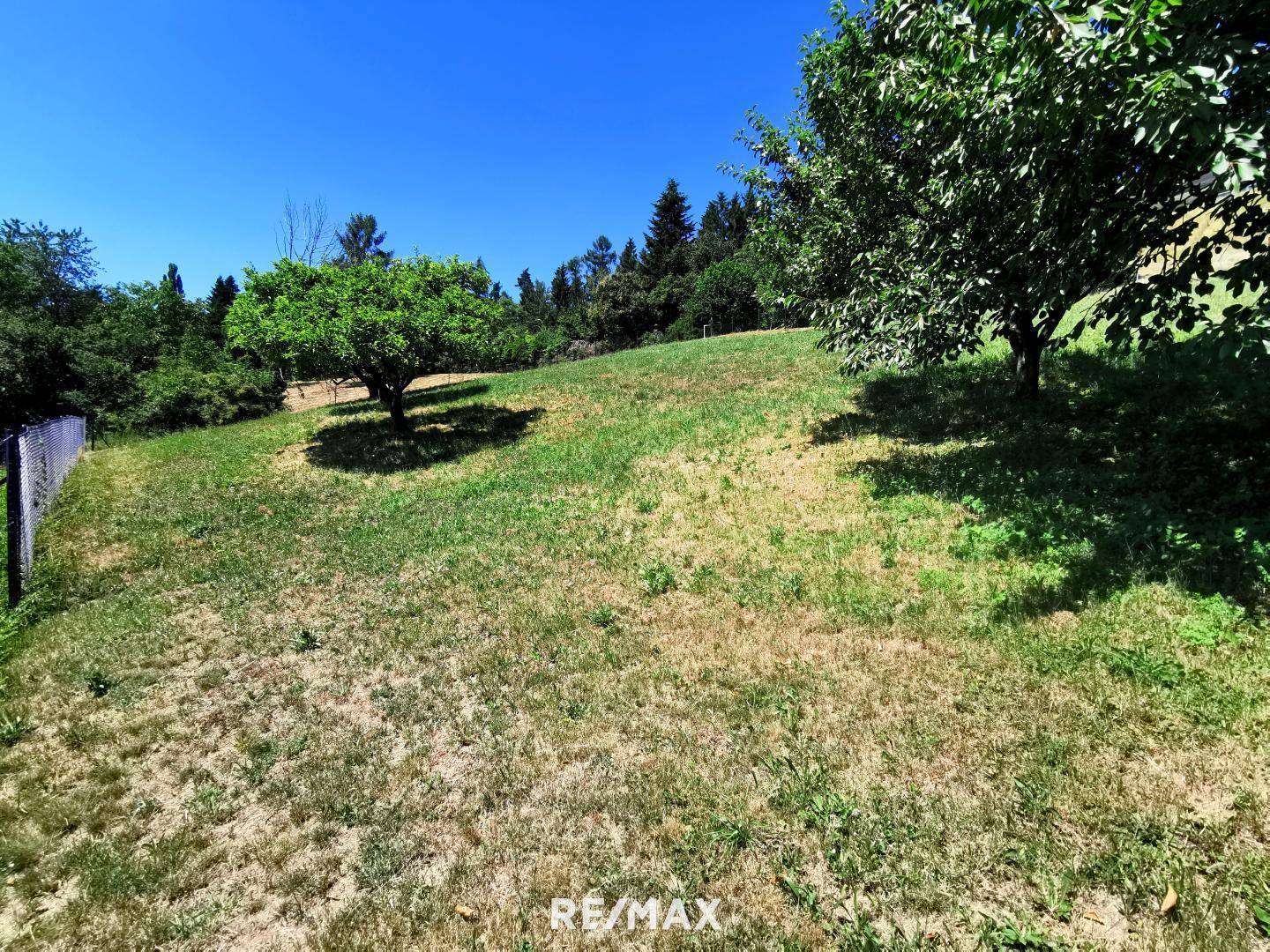 Grünes Grundstück mit leichter Hanglage und vereinzelten Bäumen unter strahlend blauem Himmel.