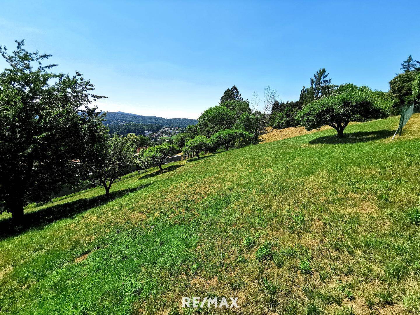 Großes, sonniges Grundstück mit sanfter Hanglage, Bäumen und Blick auf die umliegende Natur.
