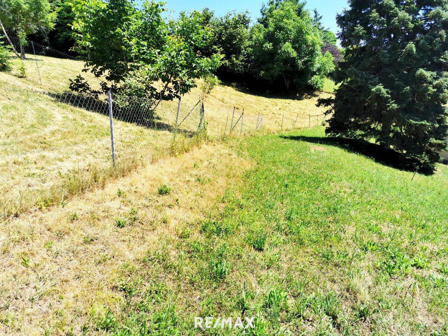 Teil des Grundstücks mit Drahtzaun und grüner Vegetation, umgeben von Bäumen und Natur.