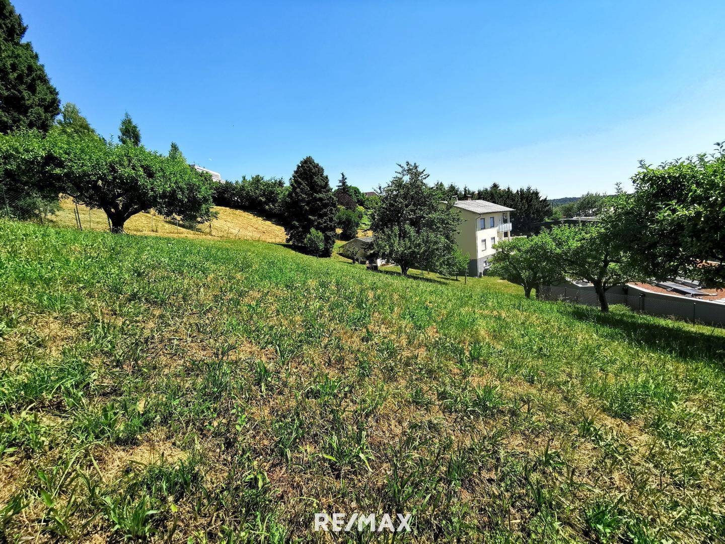 Weitläufige Grünfläche mit Bäumen und einem Mehrfamilienhaus in der Ferne unter blauem Himmel.