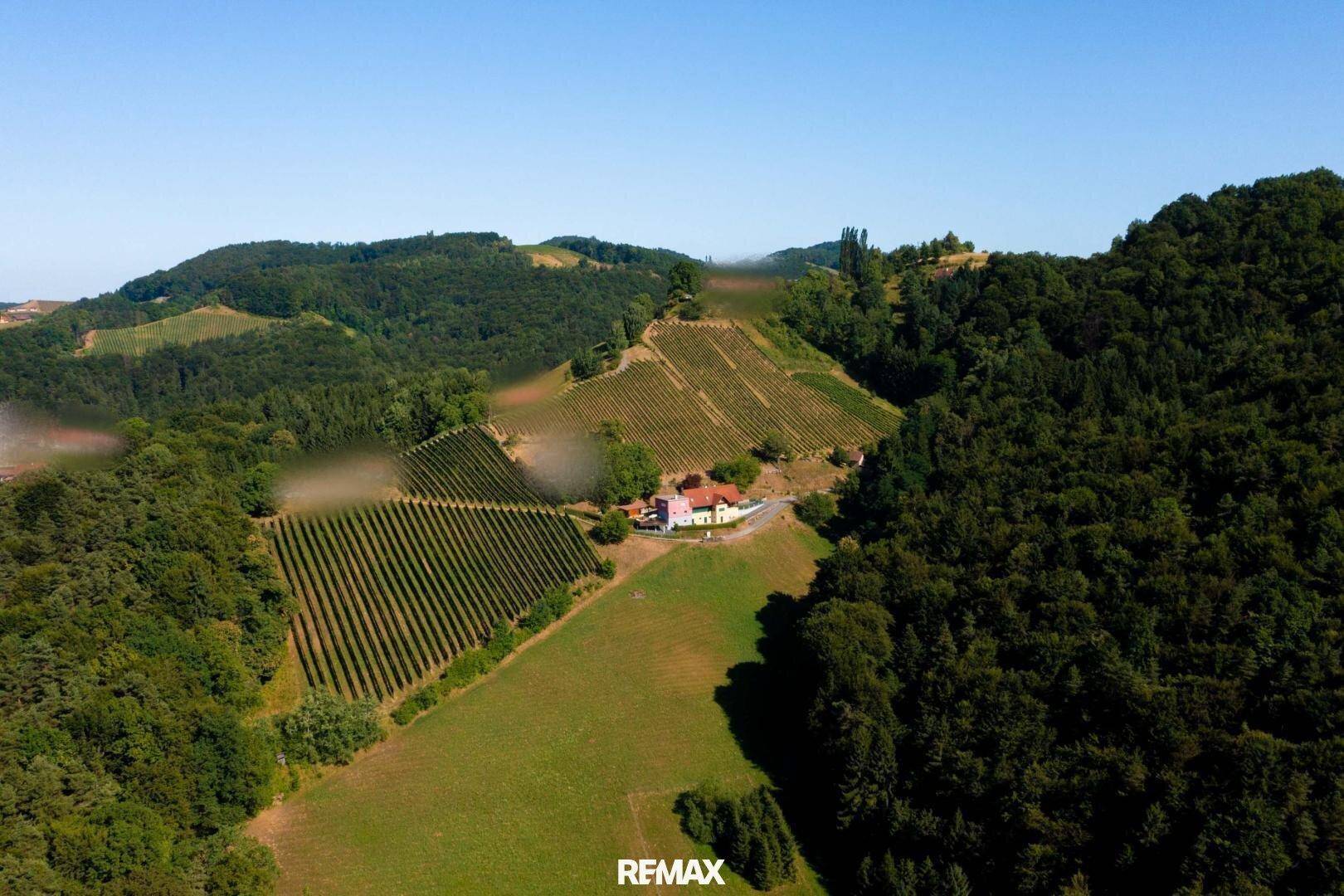 Luftaufnahme des Anwesens inmitten von Weinbergen und grünen Hügeln unter blauem Himmel.