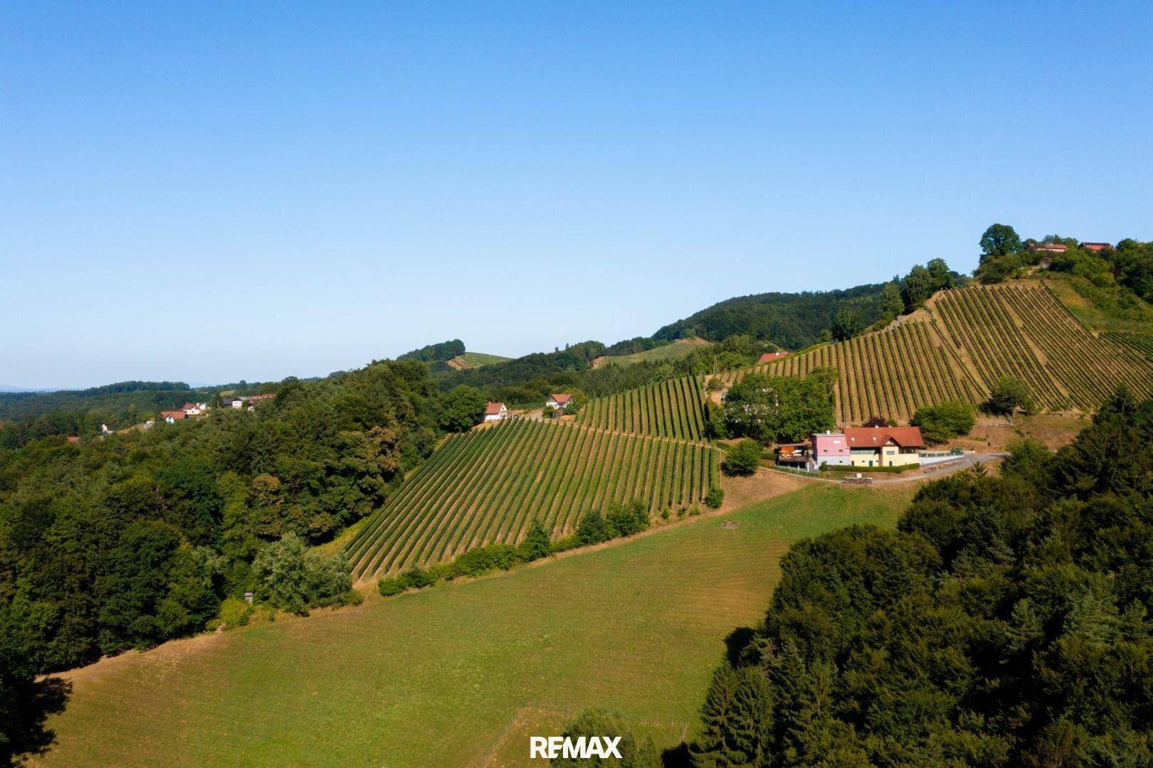 Weitläufiges Anwesen mit Weinbergen und Wäldern, eingebettet in eine sonnige Hügellandschaft.