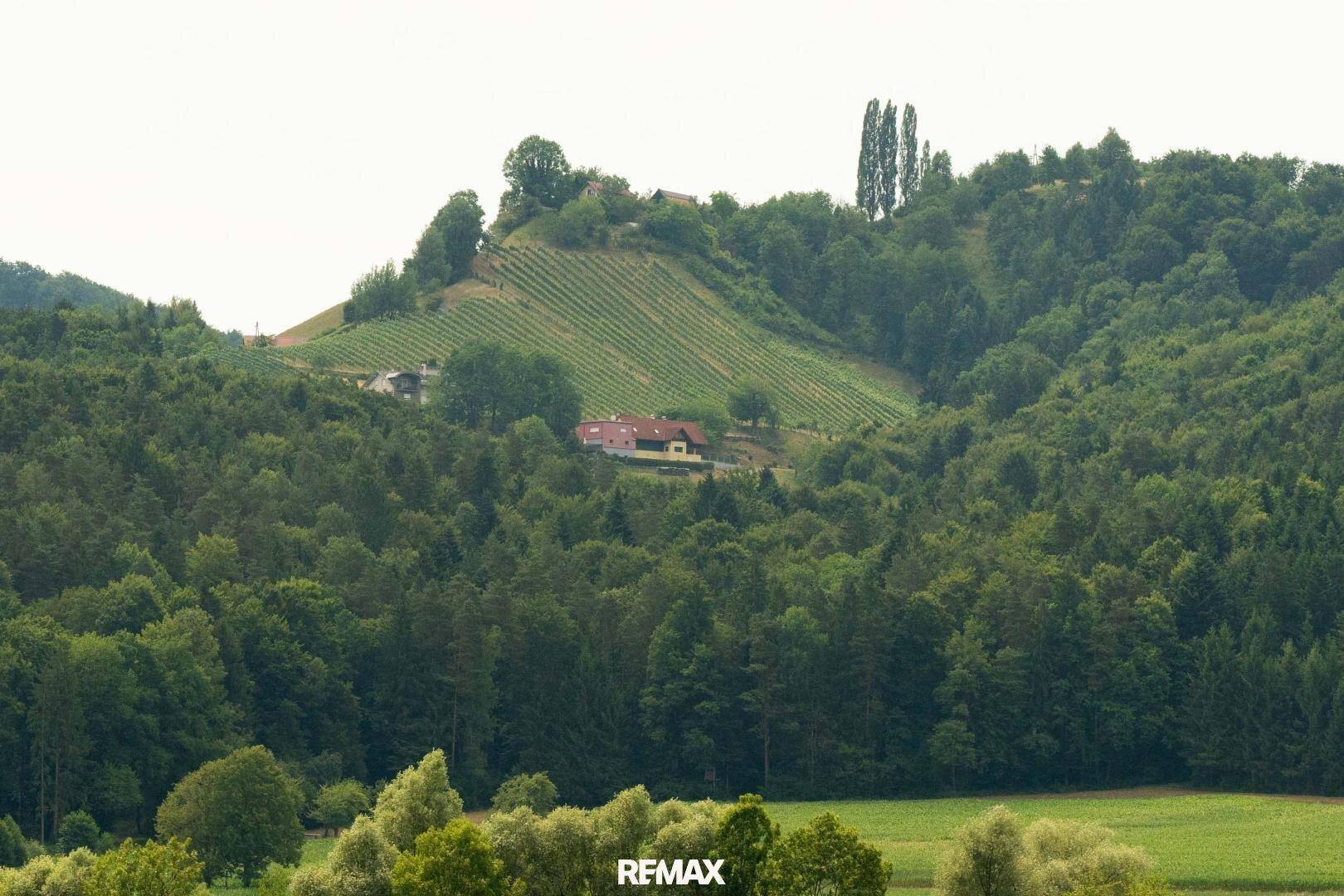 Malerische Landschaft mit Wäldern, Feldern und einem Haus in der Ferne unter bewölktem Himmel.