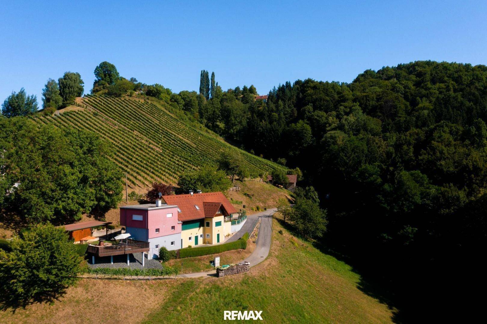 Luftaufnahme des Anwesens mit moderner Erweiterung, umgeben von Weinbergen und Natur.