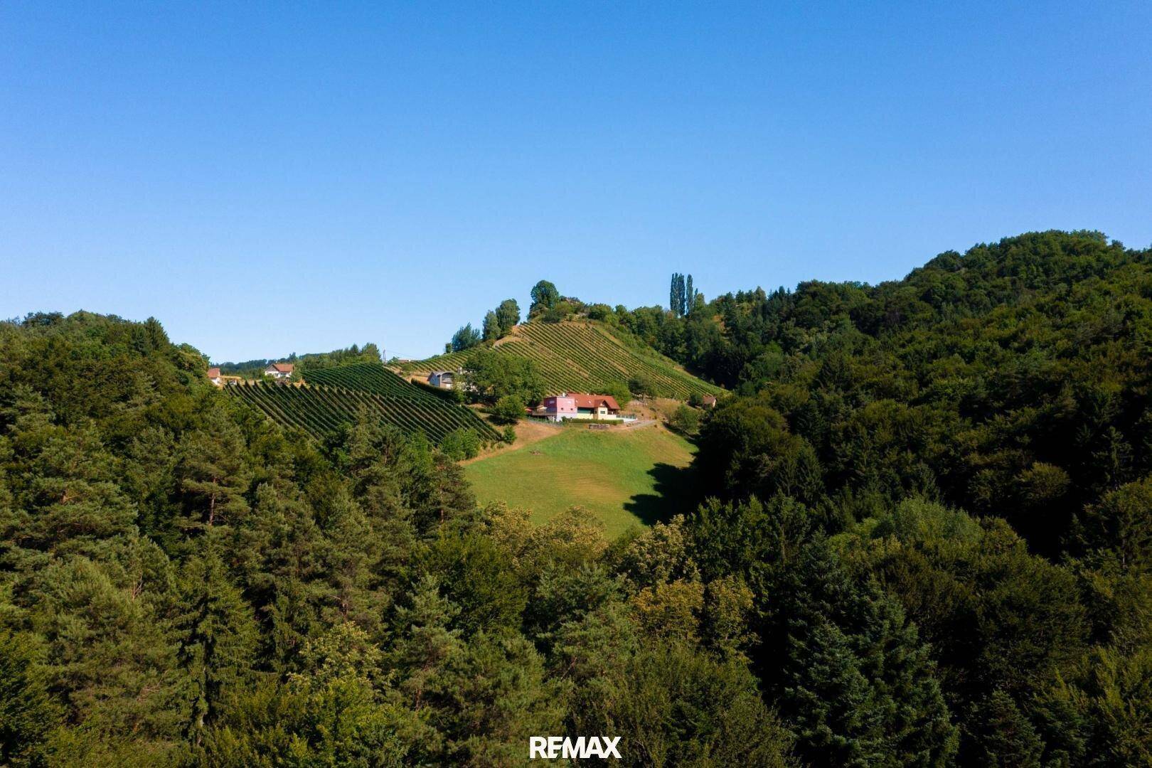Anwesen mit Weinbergen und Wäldern, eingebettet in eine sonnige, grüne Hügellandschaft.