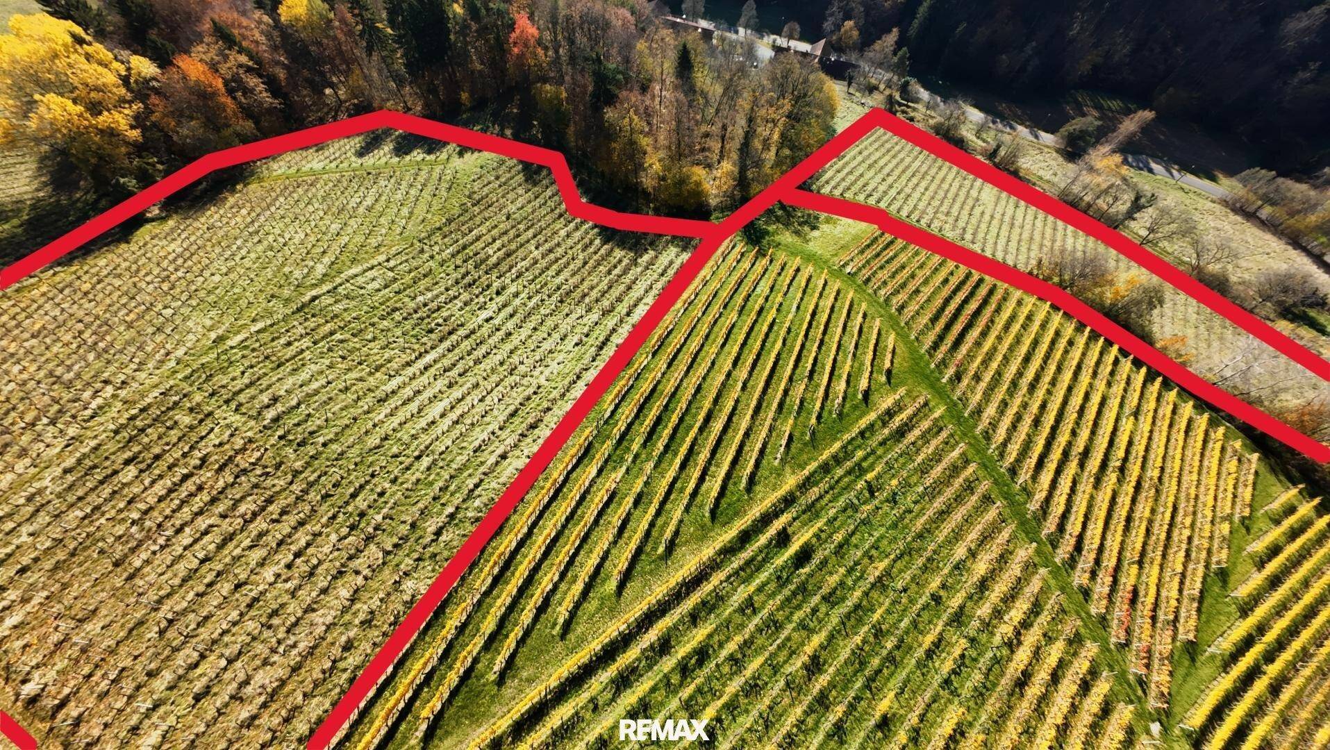 Zone II ungefährer Grenzverlauf