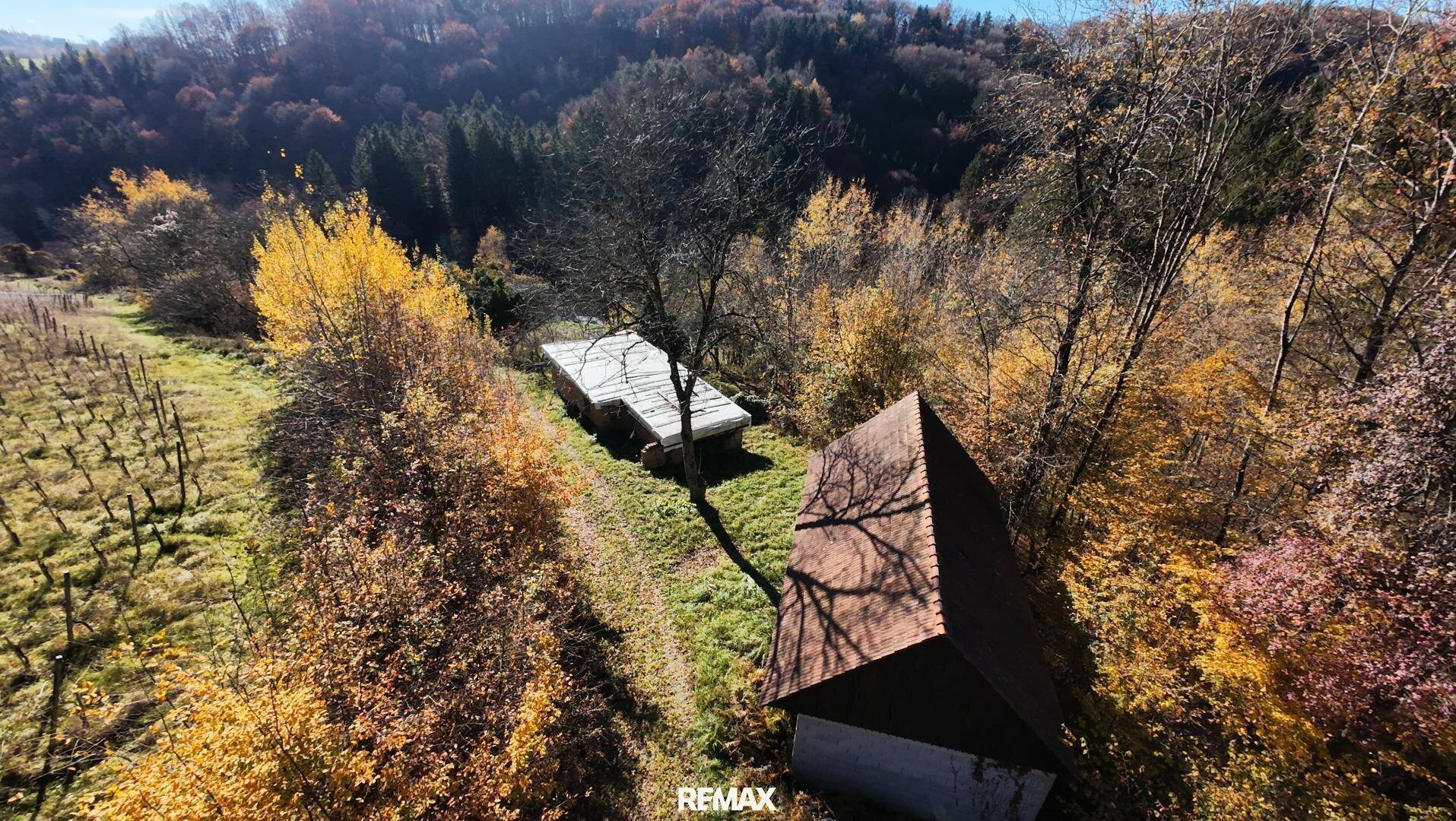 Luftaufnahme von zwei kleinen Gebäuden, umgeben von herbstlichen Bäumen und Weinbergen in der Ferne.