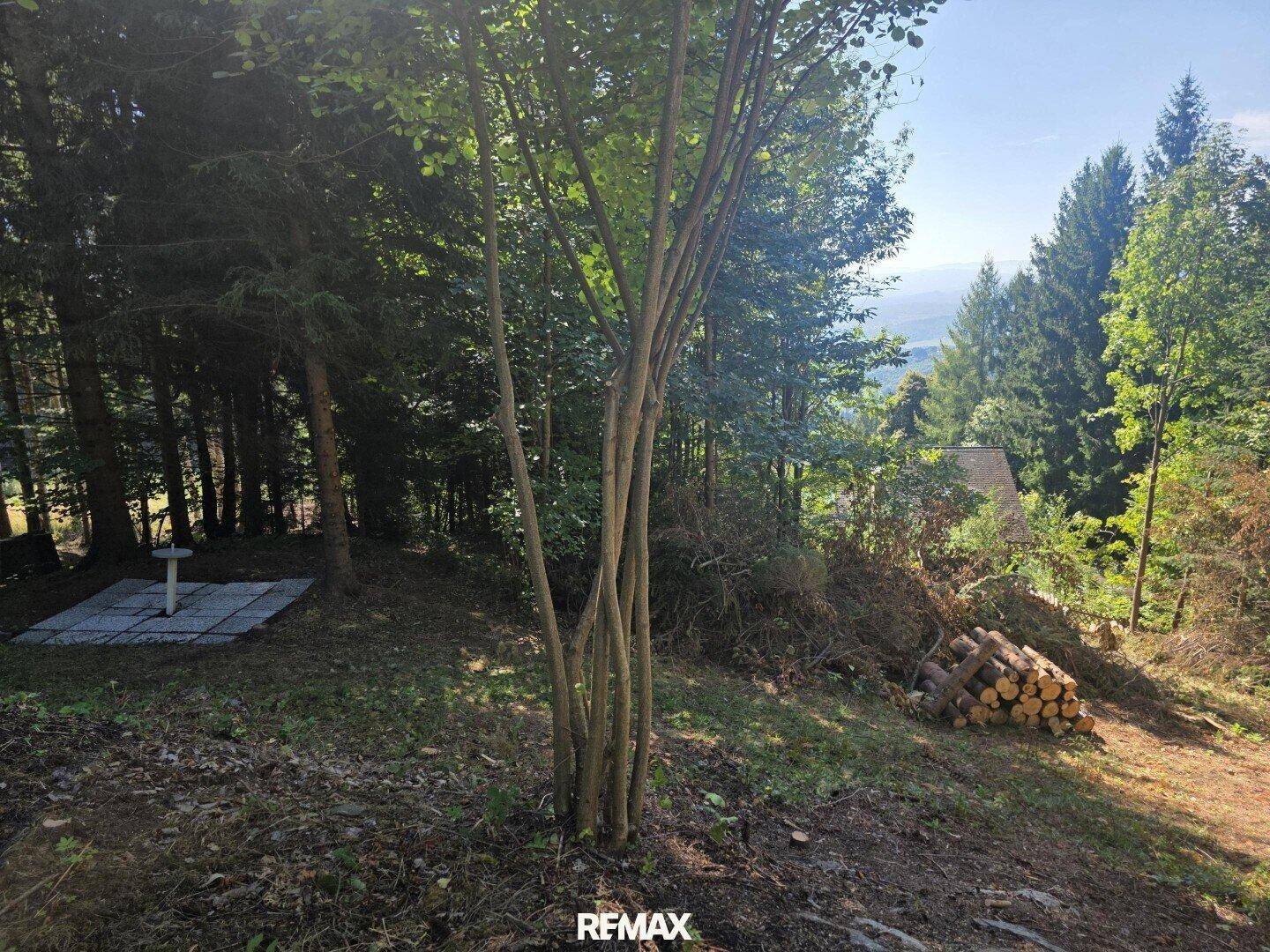 Naturbelassenes Gartengrundstück mit Bäumen, Holzstapel und weitem Blick in die Landschaft.