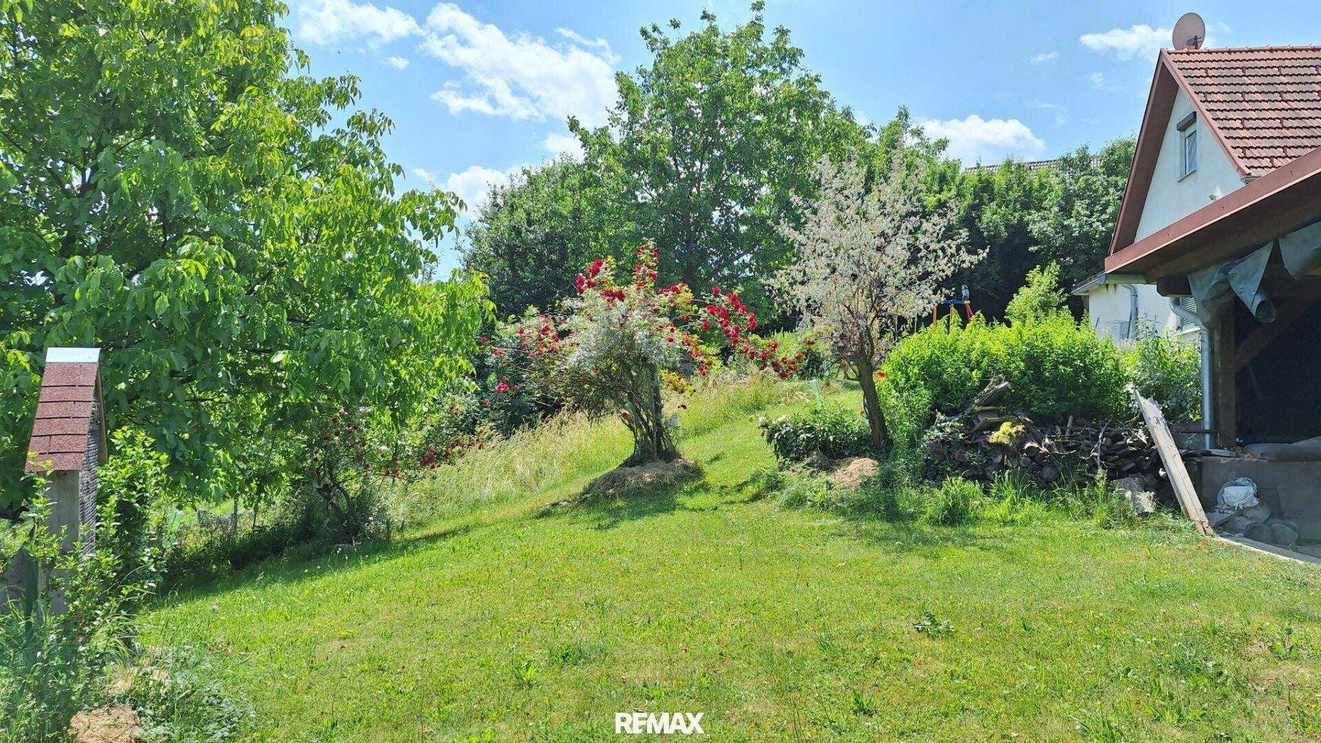 Großer, grüner Gartenbereich mit Bäumen, Sträuchern und blühenden Rosen unter blauem Himmel.