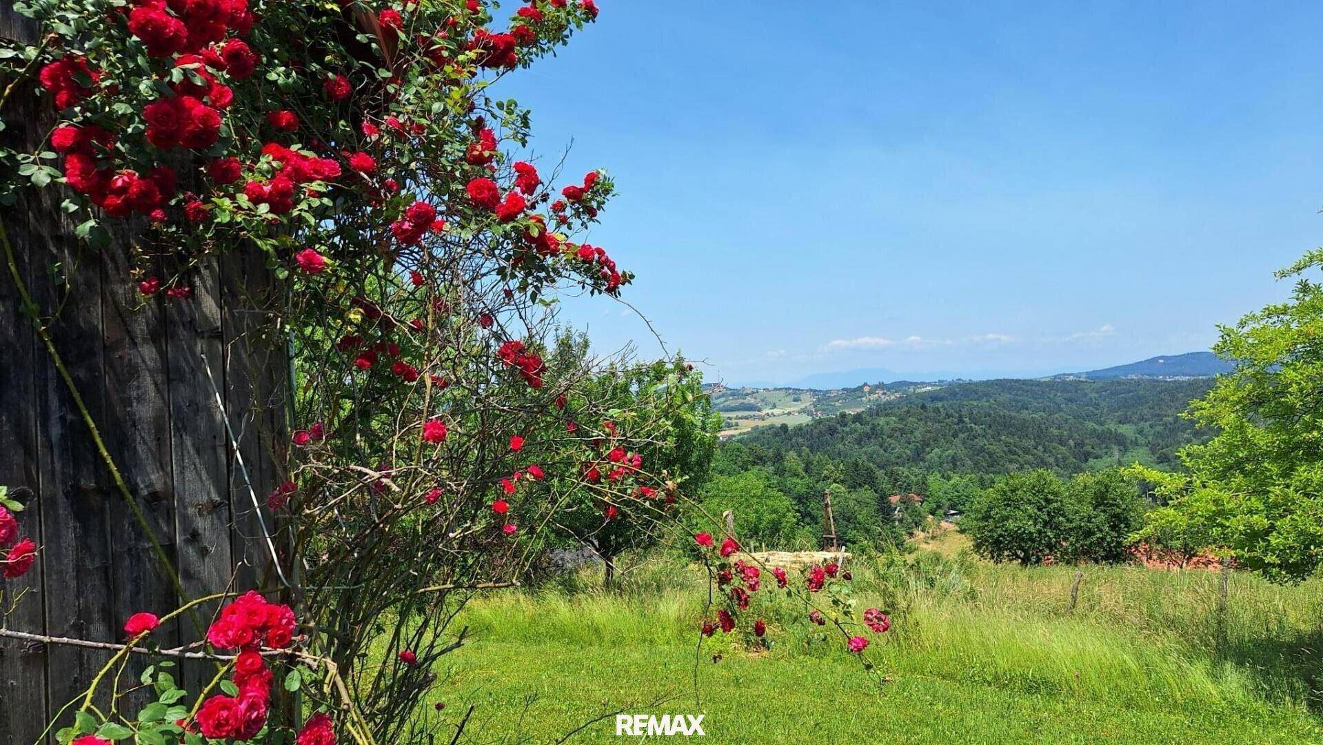 Grüner Gartenbereich mit blühenden roten Rosen und weitem Blick über die hügelige Landschaft.
