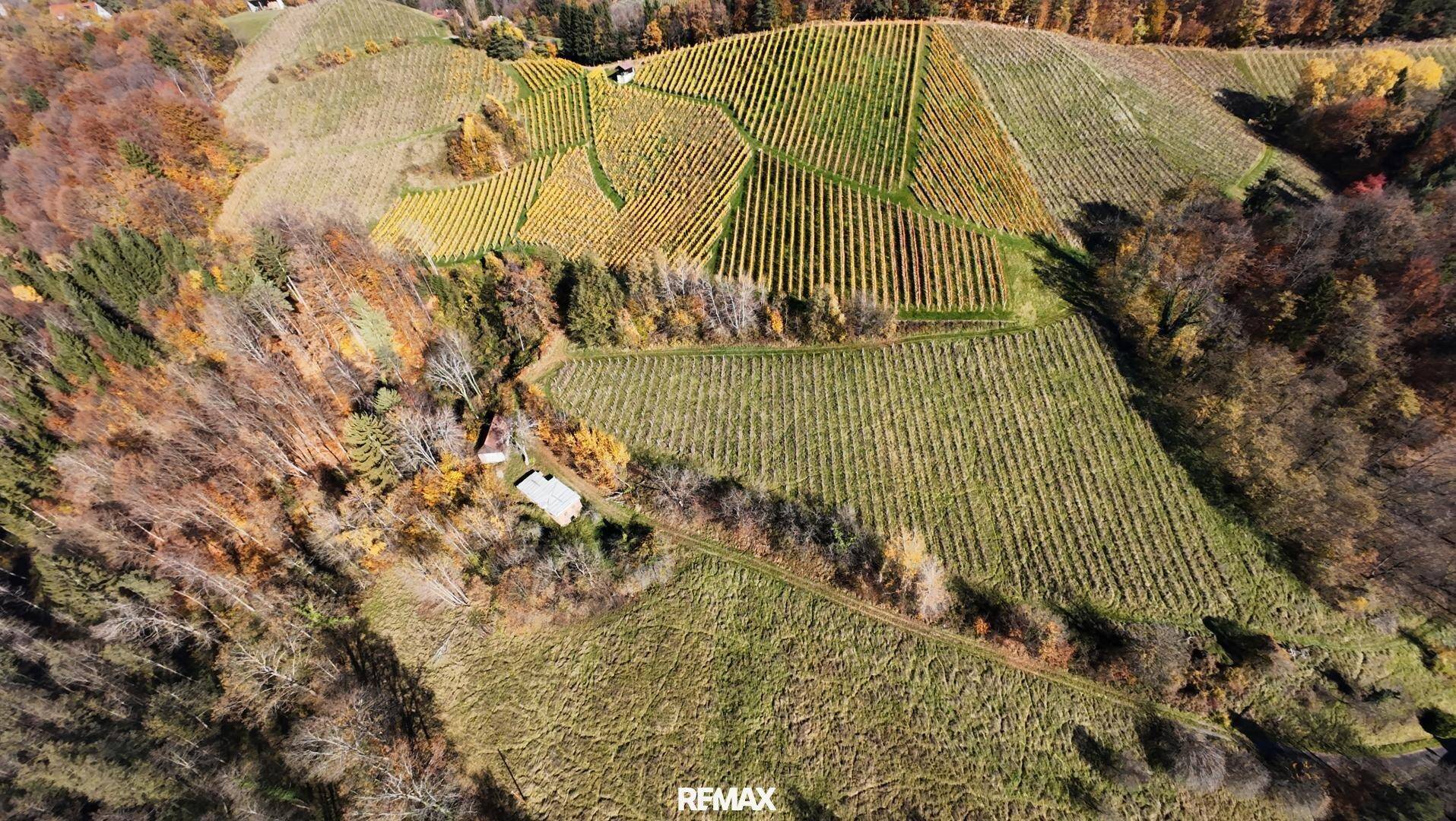 Vogelperspektive auf eine ausgedehnte Weinberglandschaft mit vereinzelten Gebäuden und herbstlicher Vegetation.