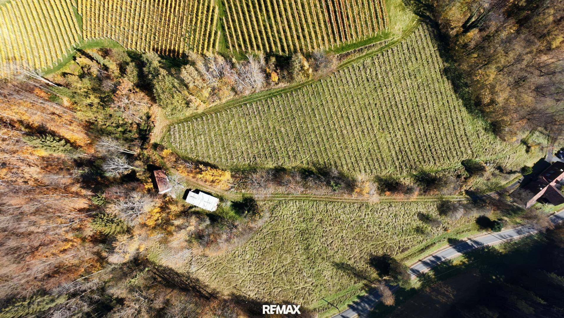 Senkrechte Luftaufnahme von Weinbergen, Wald, einem kleinen Gebäude und einer Landstraße.