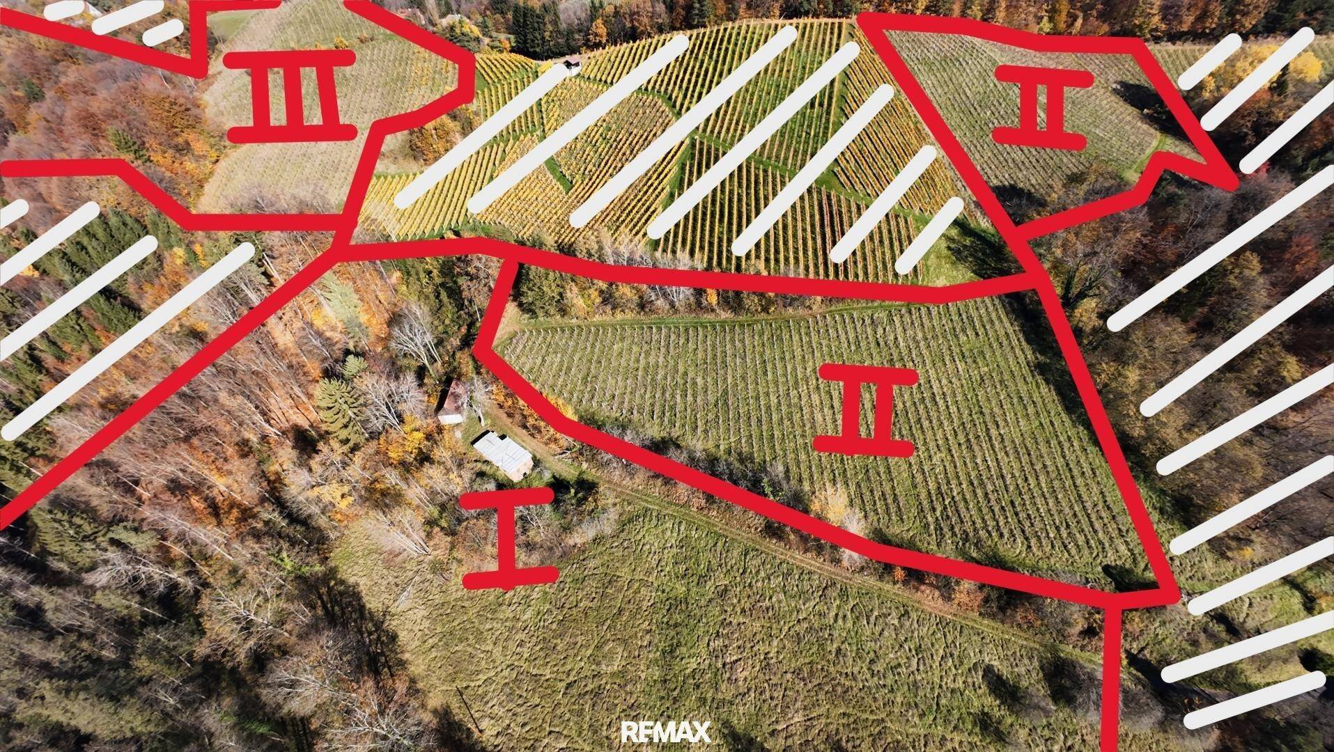 Luftaufnahme von Weinbergen und Waldgebieten mit markierten Parzellen und römischen Ziffern.