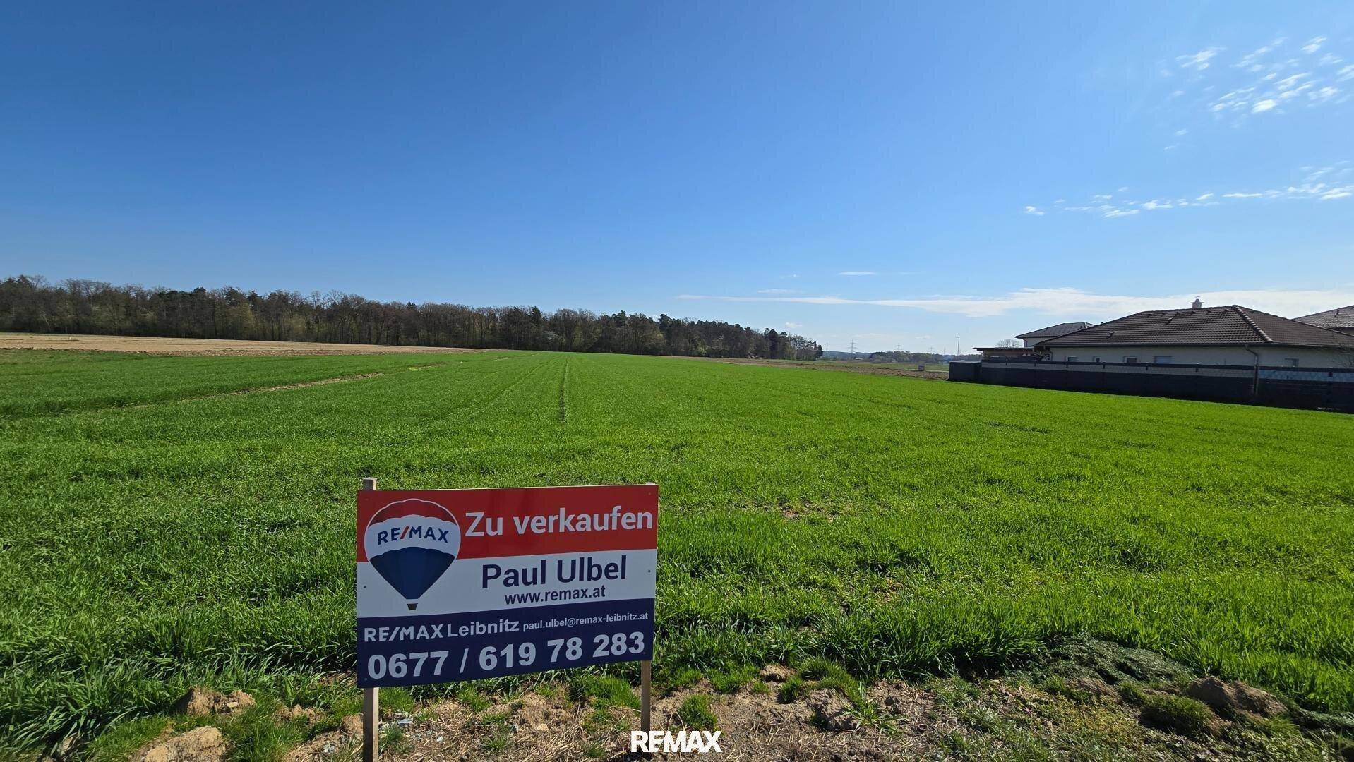 Grünes Feld mit einem "Zu verkaufen"-Schild im Vordergrund, unter strahlend blauem Himmel.