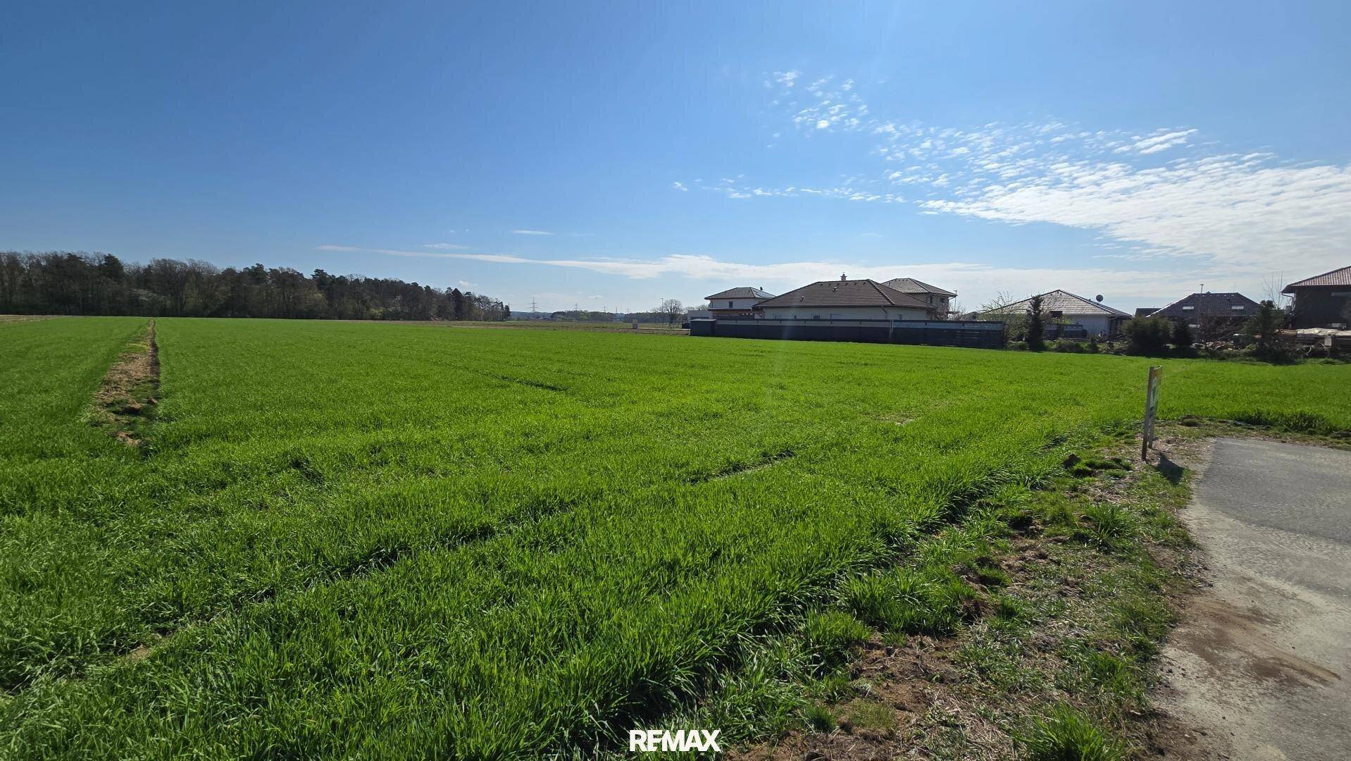 Weites grünes Feld unter blauem Himmel mit Häusern in der Ferne, ideal für Neubauprojekte.