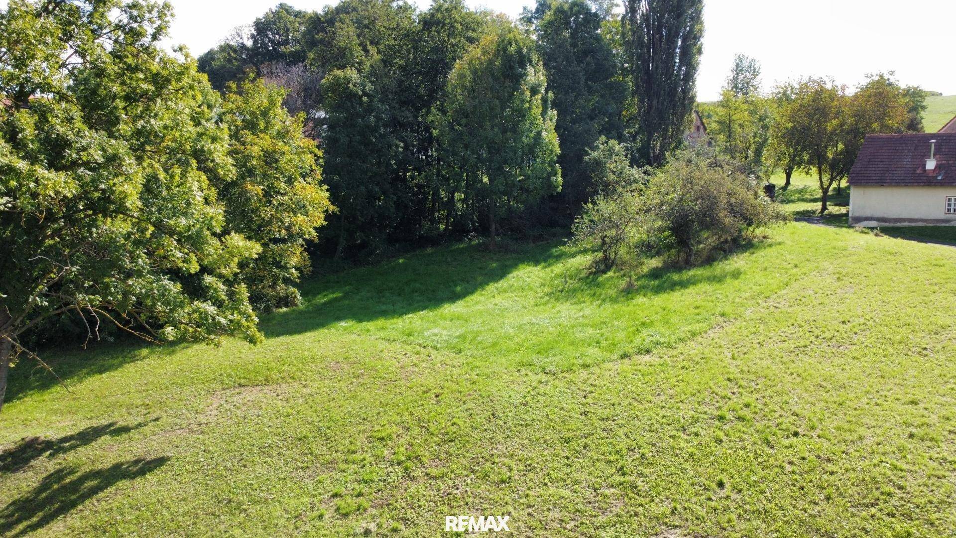 Weitläufiges grünes Grundstück mit Bäumen im Hintergrund und viel natürlichem Licht an einem sonnigen Tag.