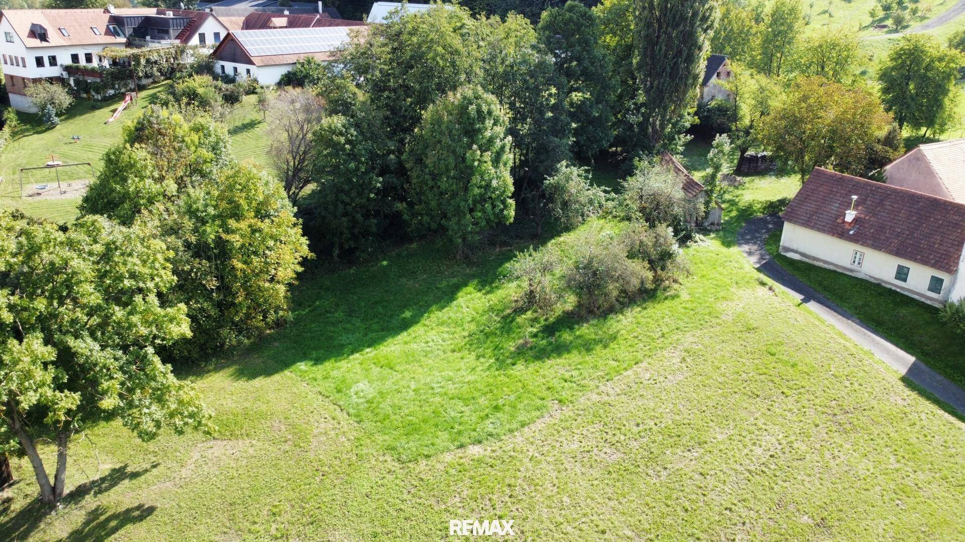 Weitläufiges grünes Grundstück mit Bäumen und Häusern im Hintergrund, ideal für den Bau eines Eigenheims.
