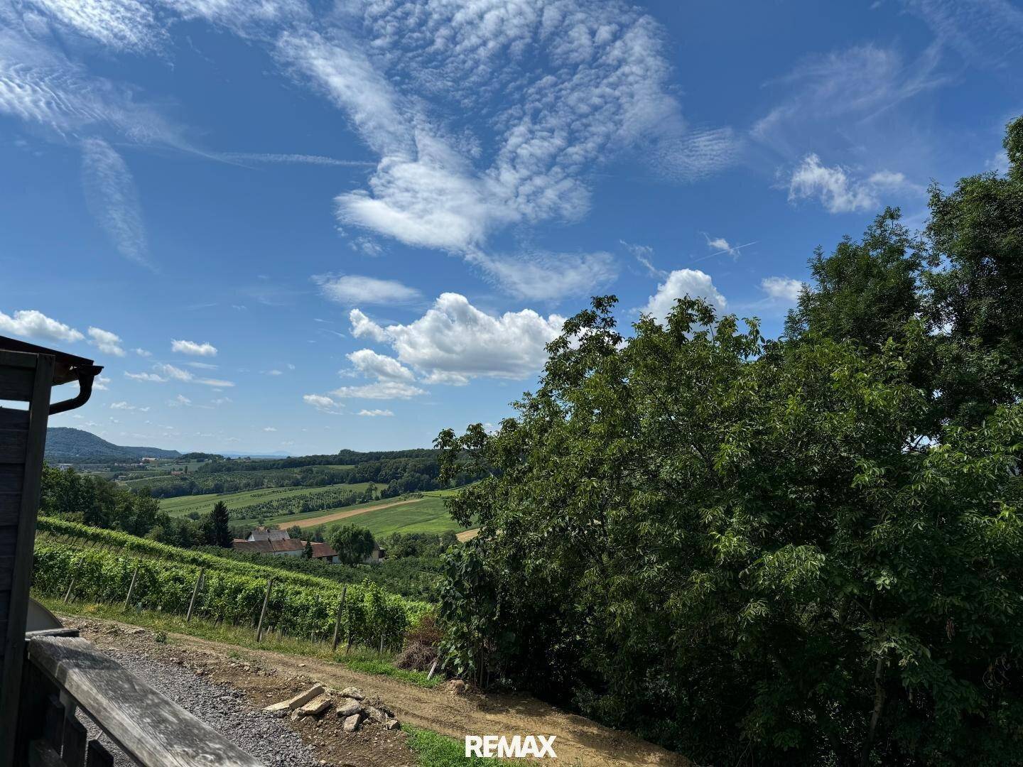 Malerischer Ausblick über Weinberge und grüne Hügel unter blauem Himmel.