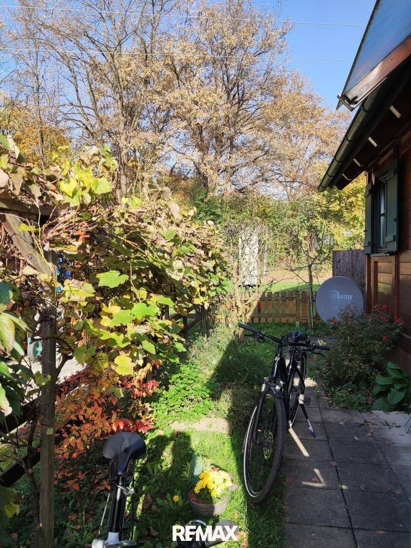 Sonniger Gartenweg neben dem Holzhaus mit üppiger Vegetation und einem Fahrrad im Herbstlicht.