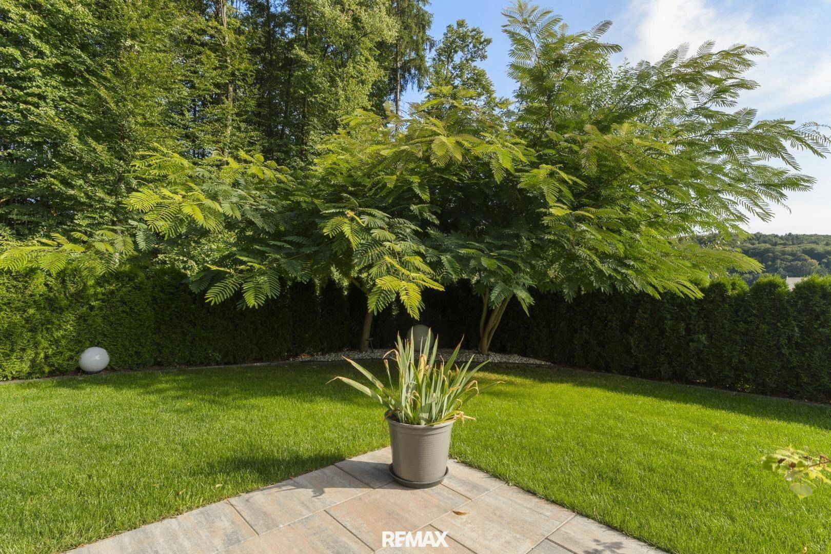 Gepflegter Gartenbereich mit Rasenfläche, Bäumen und einem dekorativen Pflanzkübel in der Sonne.