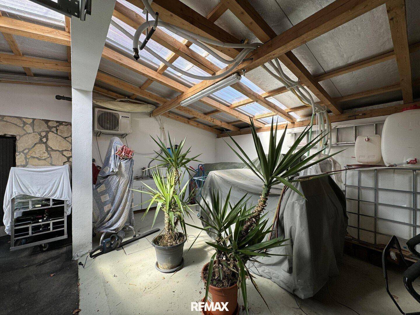 Heller Raum mit transparentem Dach, Pflanzen und verschiedenen Gegenständen, möglicherweise ein Wintergarten.