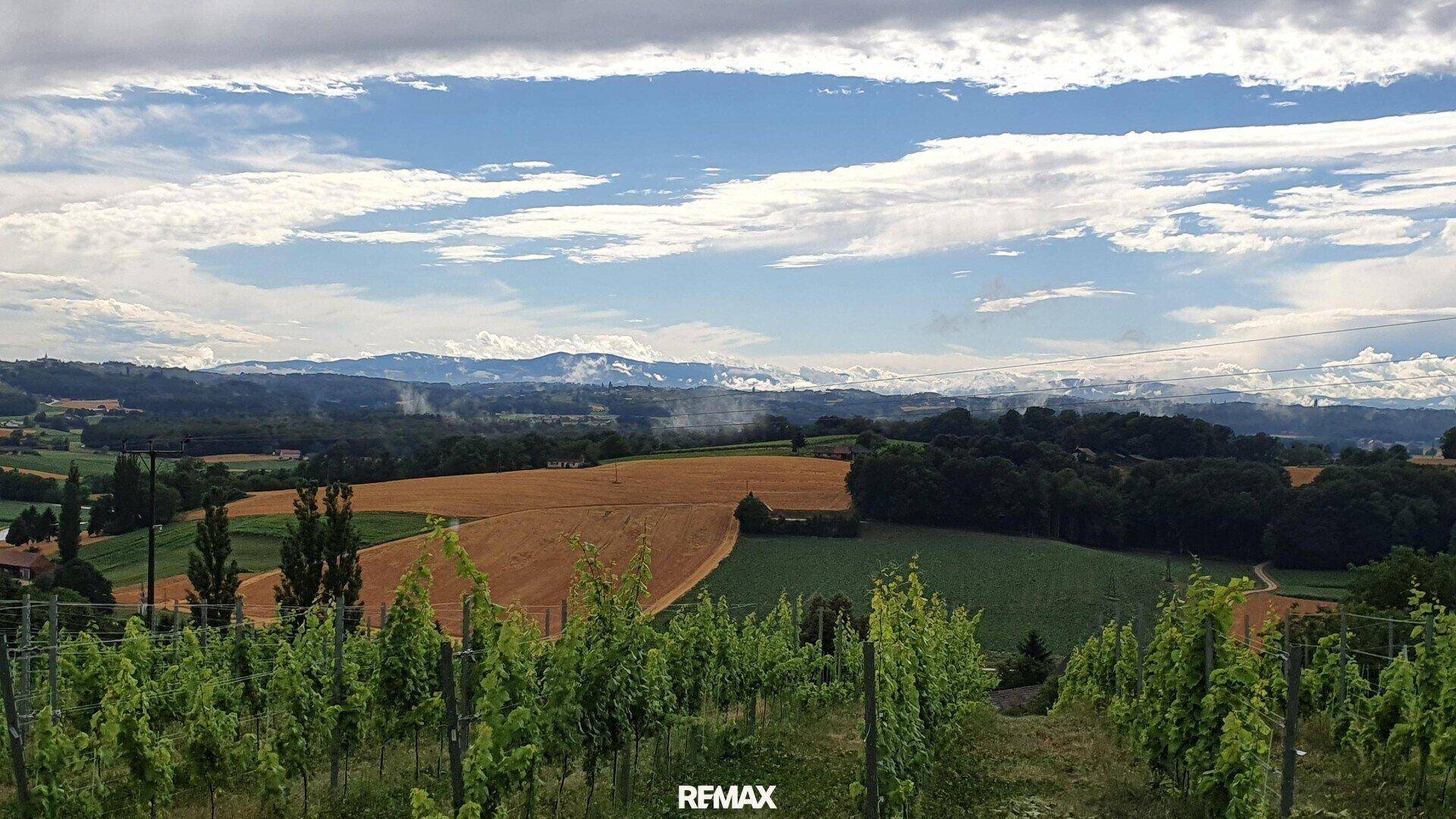 Weitläufige Landschaft mit Weinbergen, Feldern und Bergen am Horizont unter Wolken.
