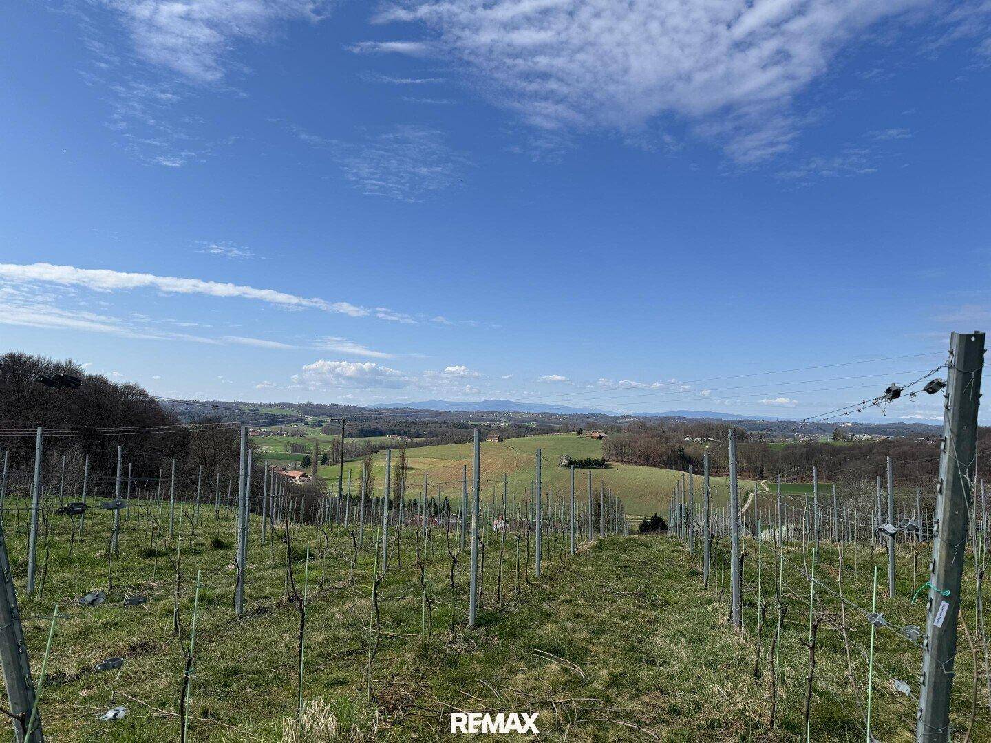 Weitläufige Weinberge unter blauem Himmel mit Blick auf die umliegende Hügellandschaft.