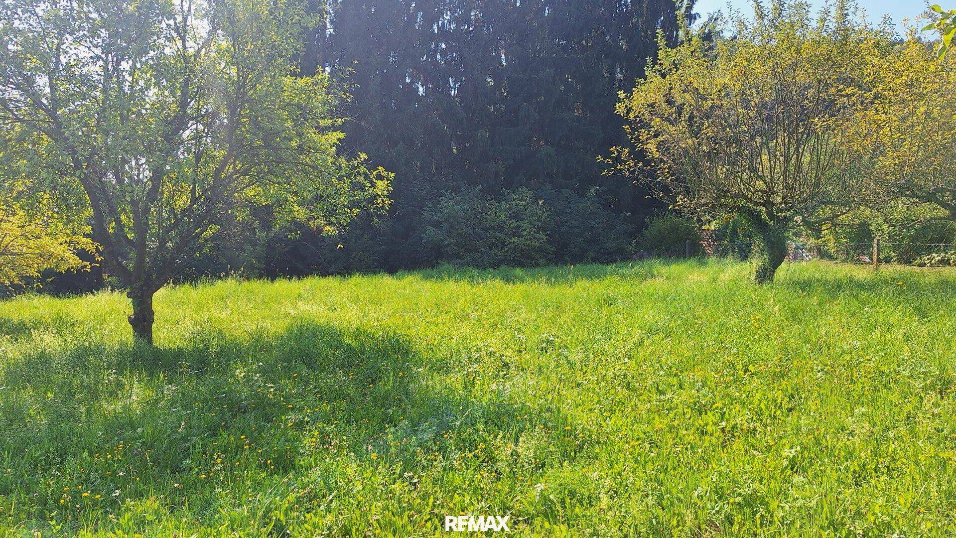 „Ihr Logenplatz in Wildon – Baugrundstück mit Aussicht, Sonne &amp; Privatsphäre“ - Ansicht 6