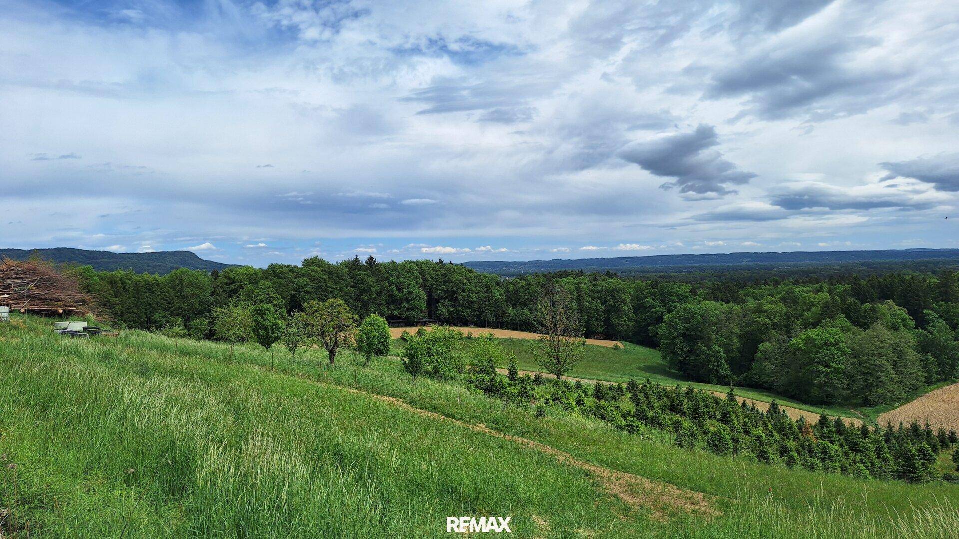 Weitläufige Aussicht auf eine unberührte Natur mit grünen Wiesen, Bäumen und bewaldeten Hügeln.