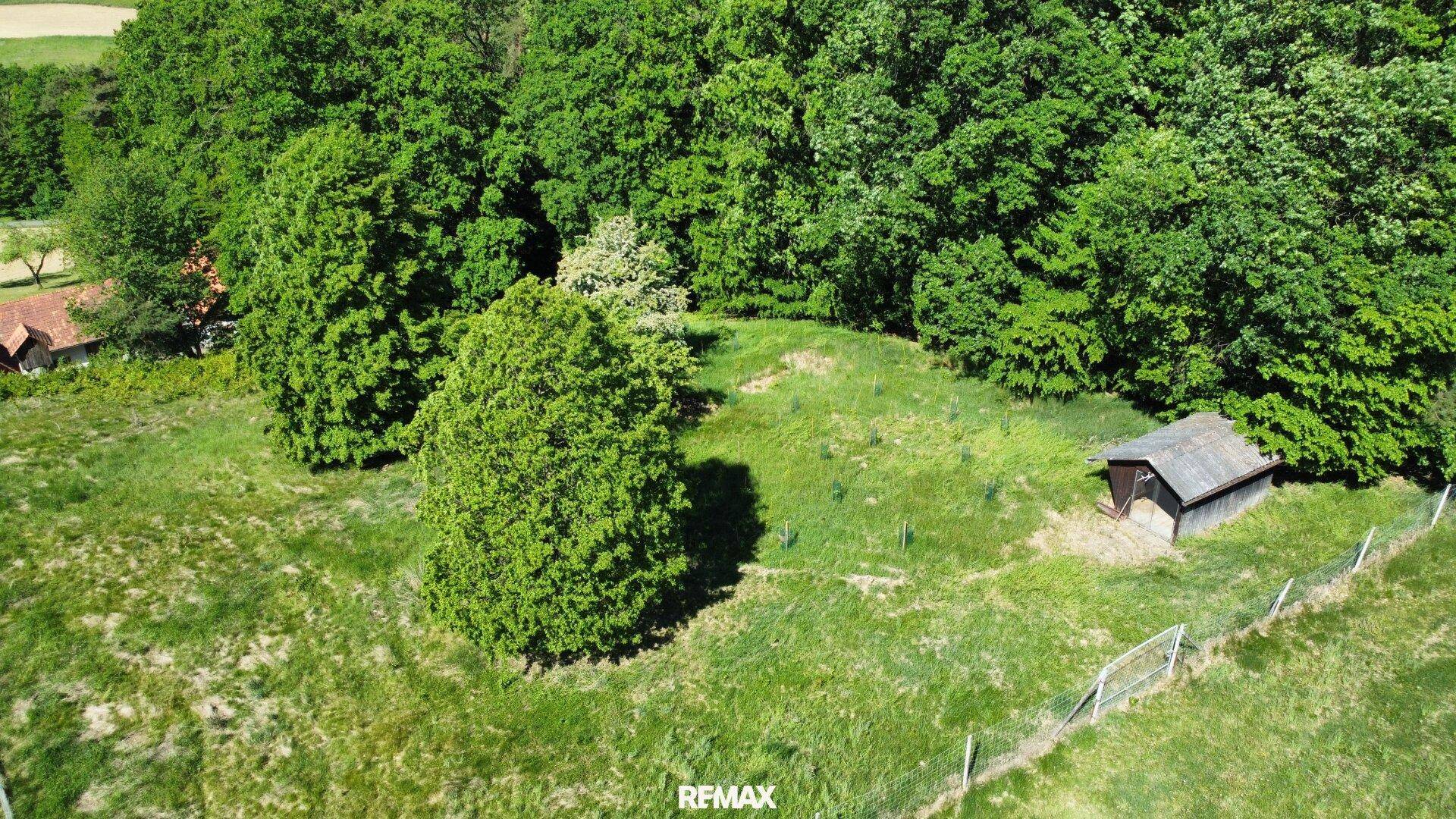 Eine kleine Holzhütte auf einem grasbewachsenen Hügel, umgeben von Bäumen und einem einfachen Zaun.