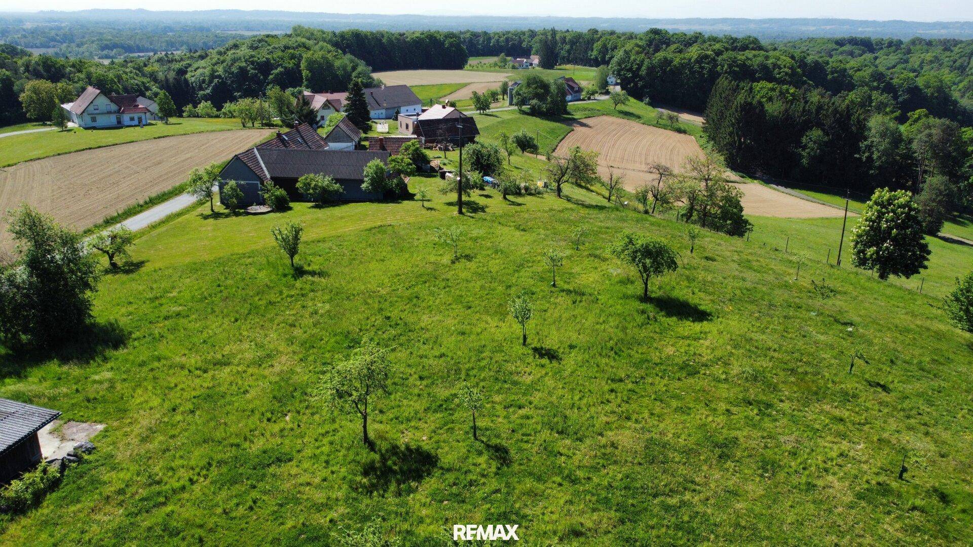 Weitläufige ländliche Landschaft mit verstreuten Häusern, Feldern und Wäldern unter blauem Himmel.
