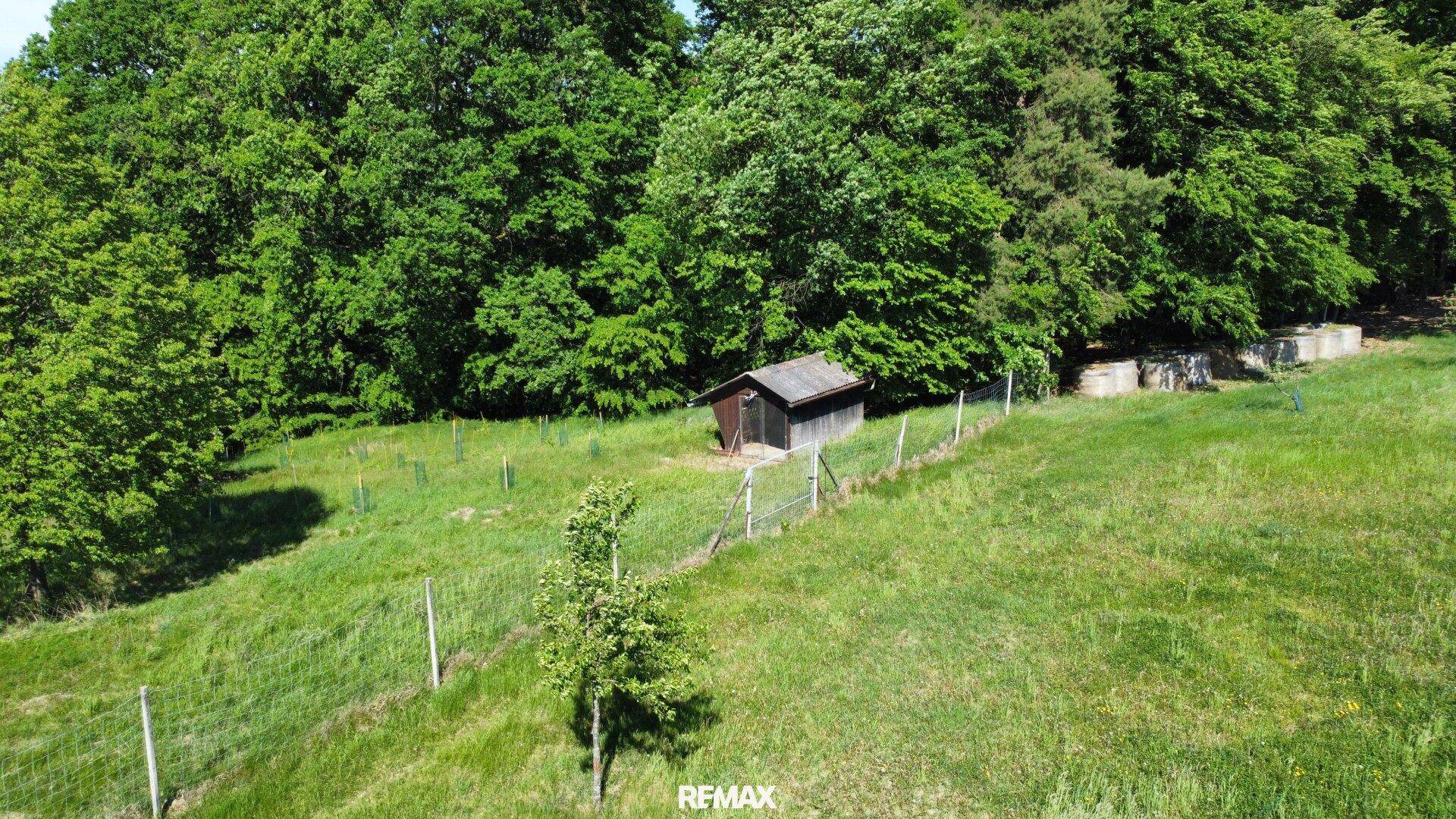 Eine kleine Holzhütte steht auf einer grünen Wiese, umgeben von Bäumen und einem Zaun.