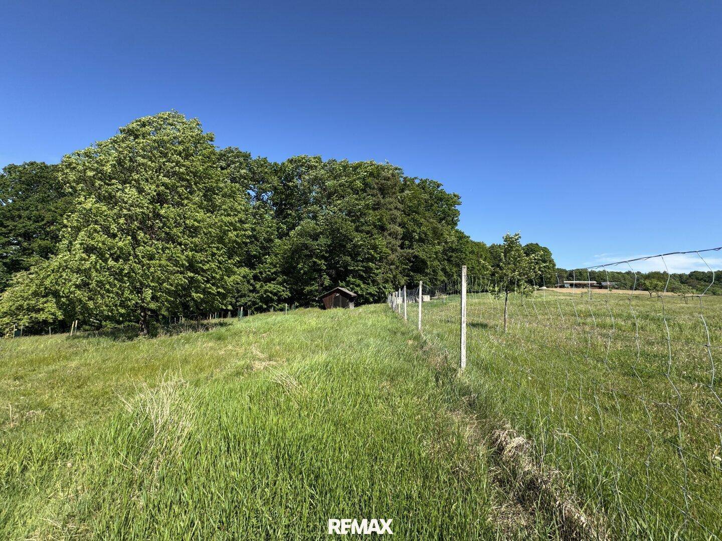 Eine grüne Wiese mit einem Zaun, einer kleinen Holzhütte und dichten Bäumen im Hintergrund.