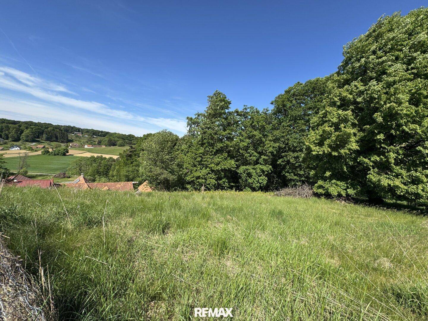 Eine grüne Wiese mit Bäumen und entfernten Häusern unter einem strahlend blauen Himmel.