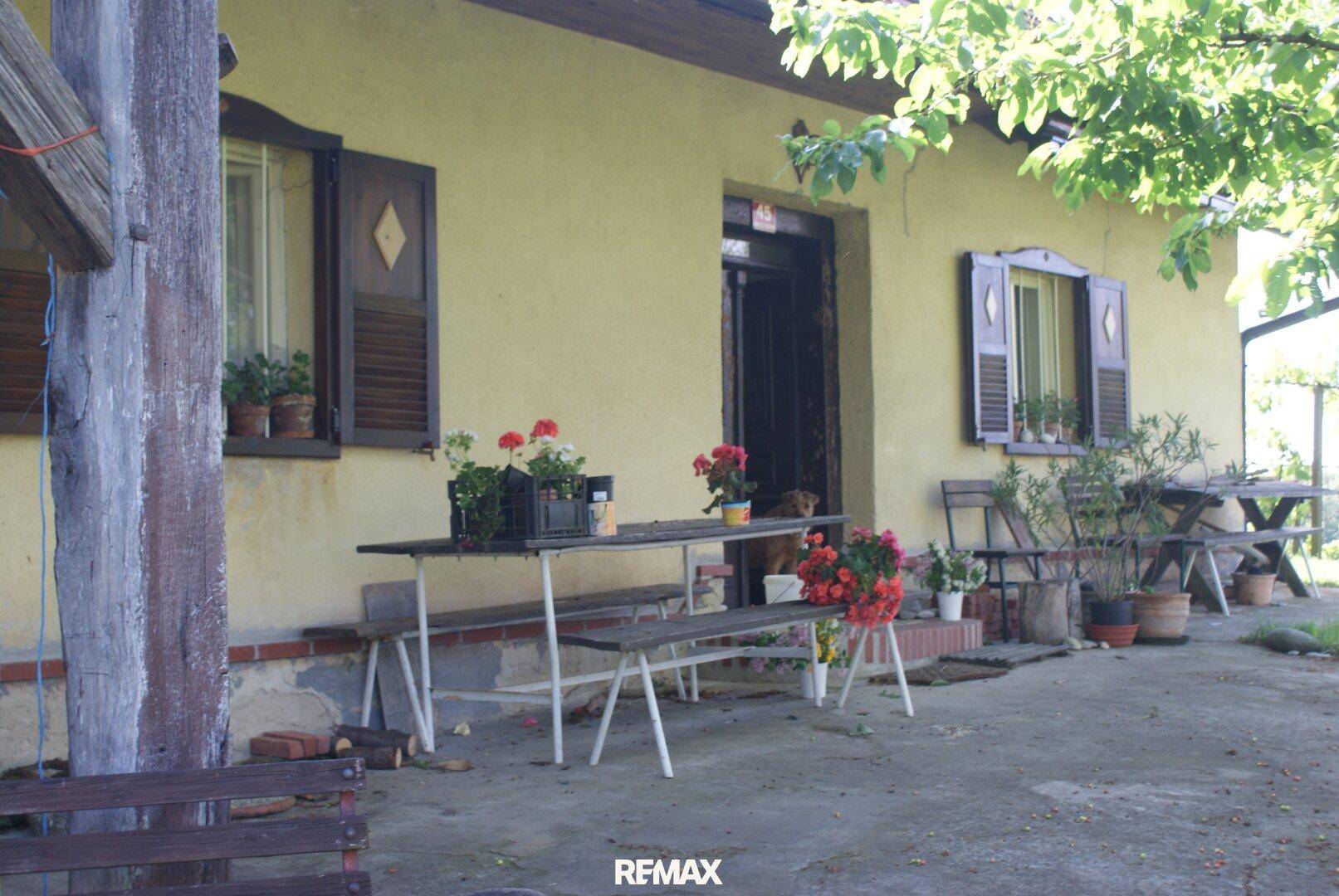 Hausfassade mit einer gepflasterten Terrasse und rustikalen Gartenmöbeln unter Bäumen.