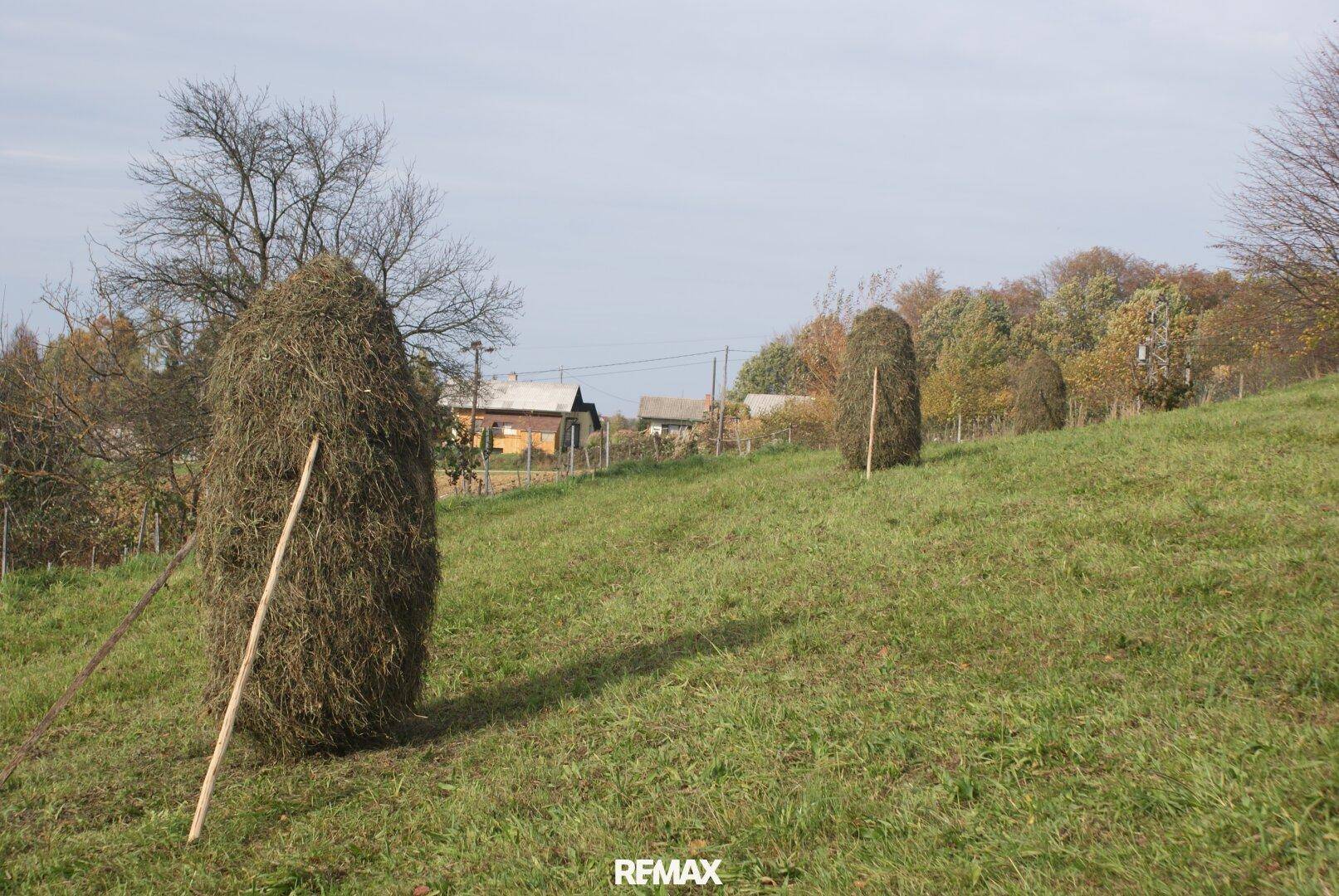 Grüne Wiese mit Heuhaufen und einem Haus im Hintergrund unter klarem Himmel.